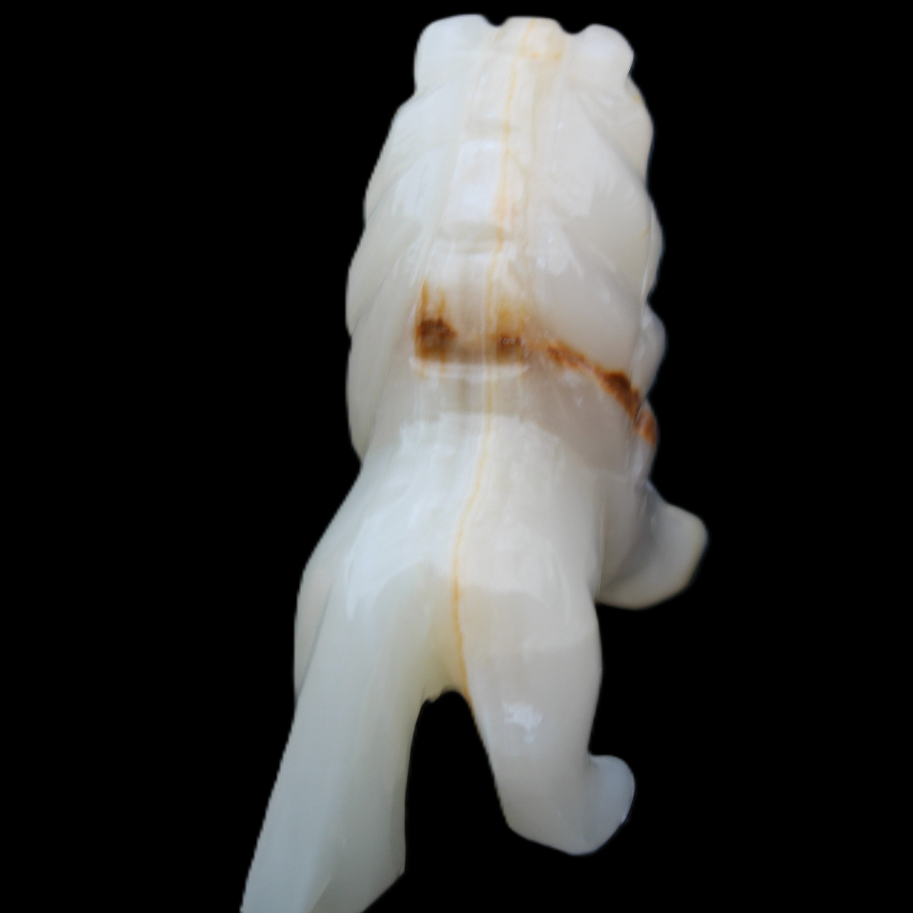 Afghan Jade hand-carved Lion 106*37*79mm 289g in sunlight - Rocks and Things Store
