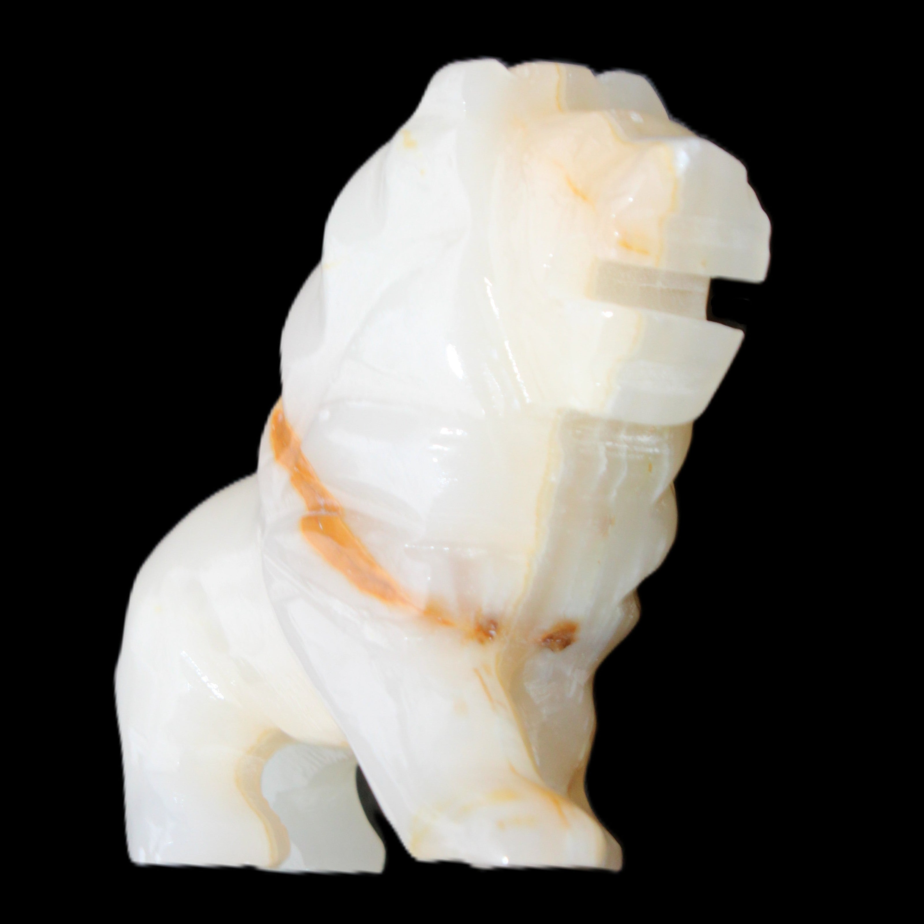 Afghan Jade hand-carved Lion 106*37*79mm 289g in sunlight - Rocks and Things Store