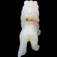 Afghan Jade hand-carved Lion 106*37*79mm 289g in sunlight - Rocks and Things Store