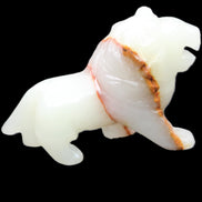Afghan Jade hand-carved Lion 119*32*76mm 301g in sunlight - Rocks and Things Store