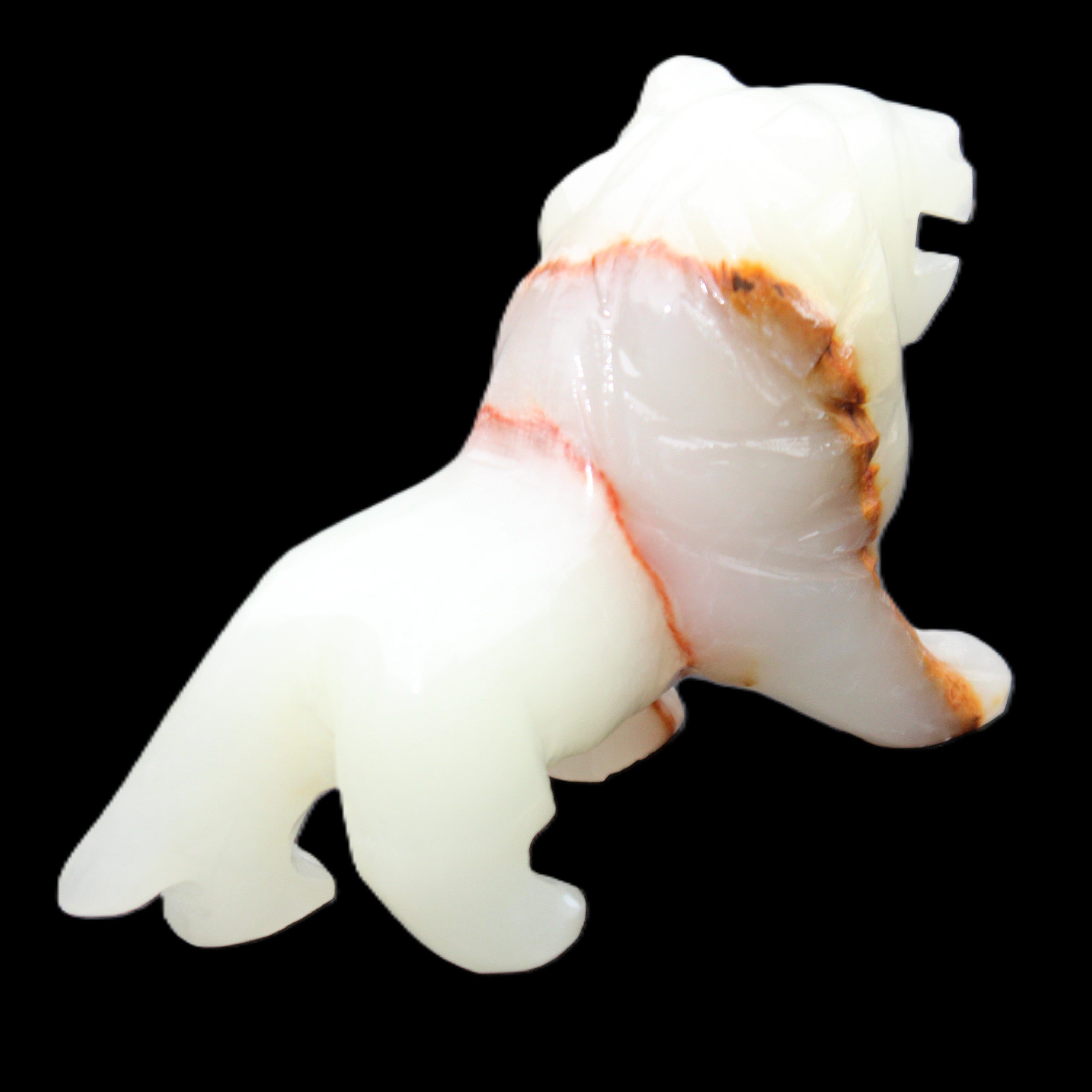Afghan Jade hand-carved Lion 119*32*76mm 301g in sunlight - Rocks and Things Store