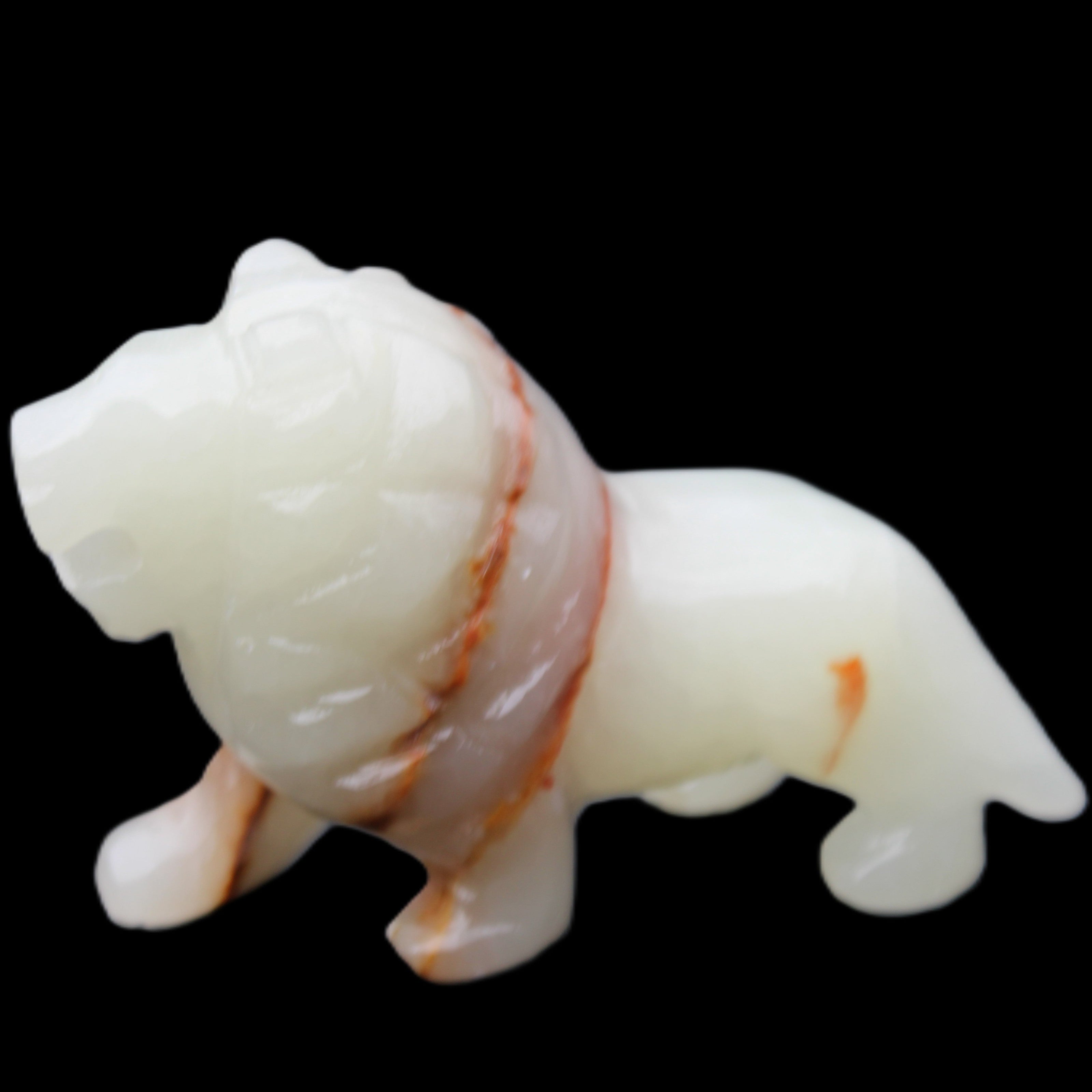 Afghan Jade hand-carved Lion 119*32*76mm 301g in sunlight - Rocks and Things Store