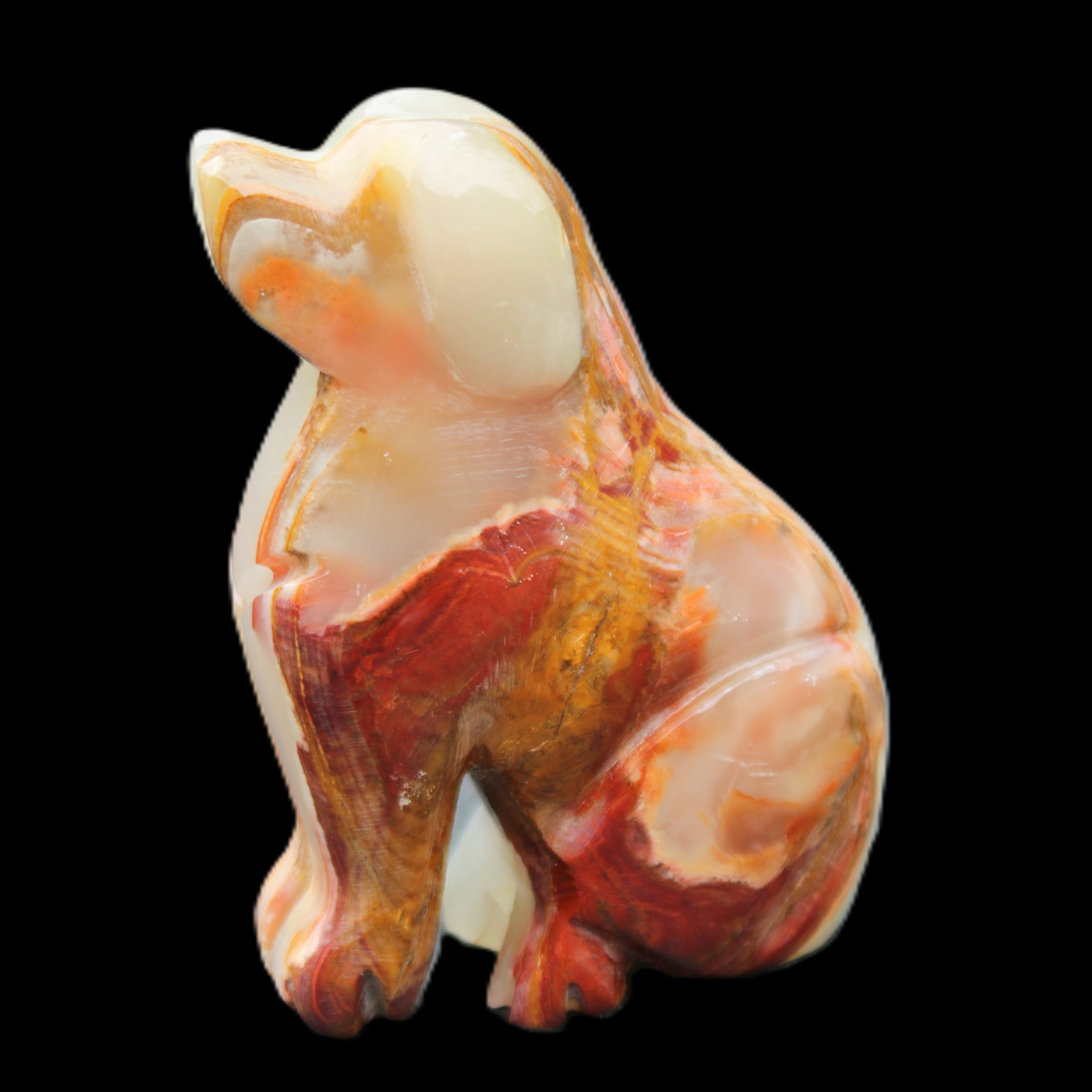 Afghan Jade hand-carved Dog 74*35*105mm 426g in sunlight - Rocks and Things Store