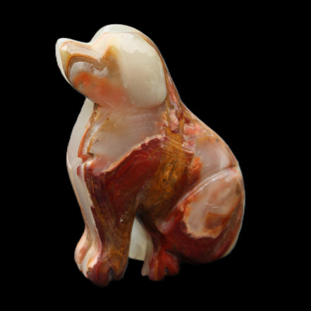Afghan Jade hand-carved Dog 74*35*105mm 426g in sunlight - Rocks and Things Store