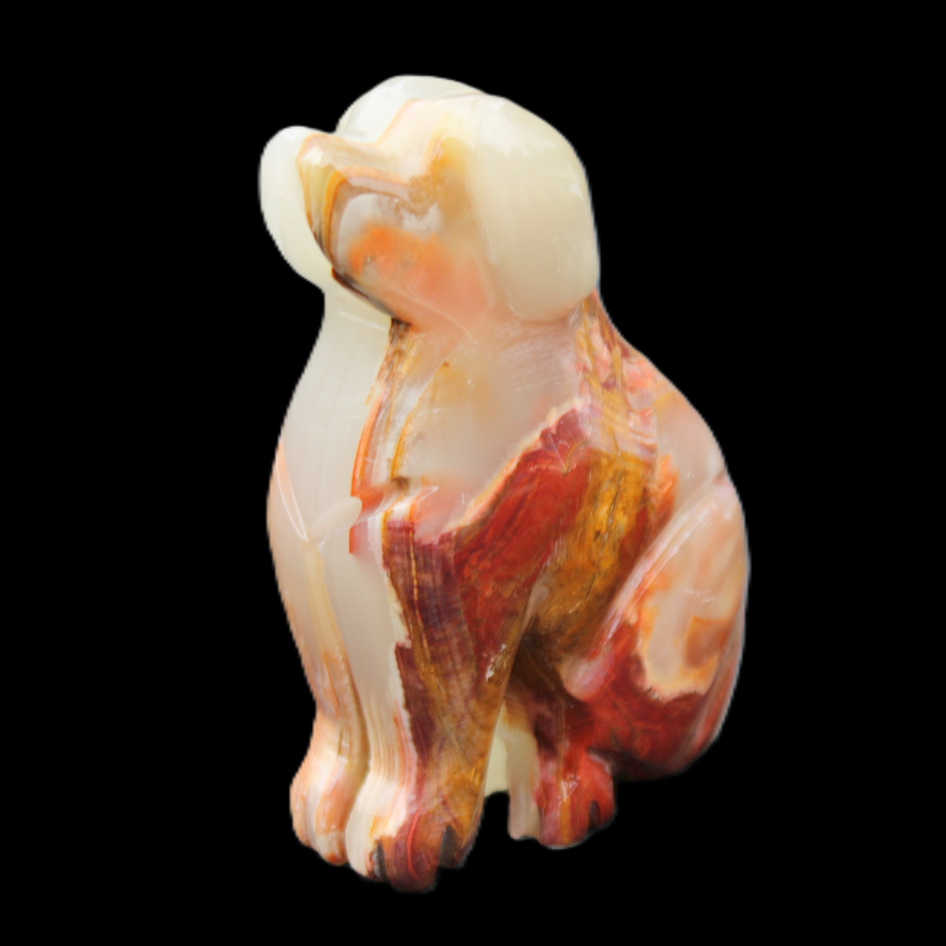 Afghan Jade hand-carved Dog 74*35*105mm 426g in sunlight - Rocks and Things Store