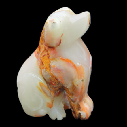Afghan Jade hand-carved Dog 74*35*105mm 426g in sunlight - Rocks and Things Store