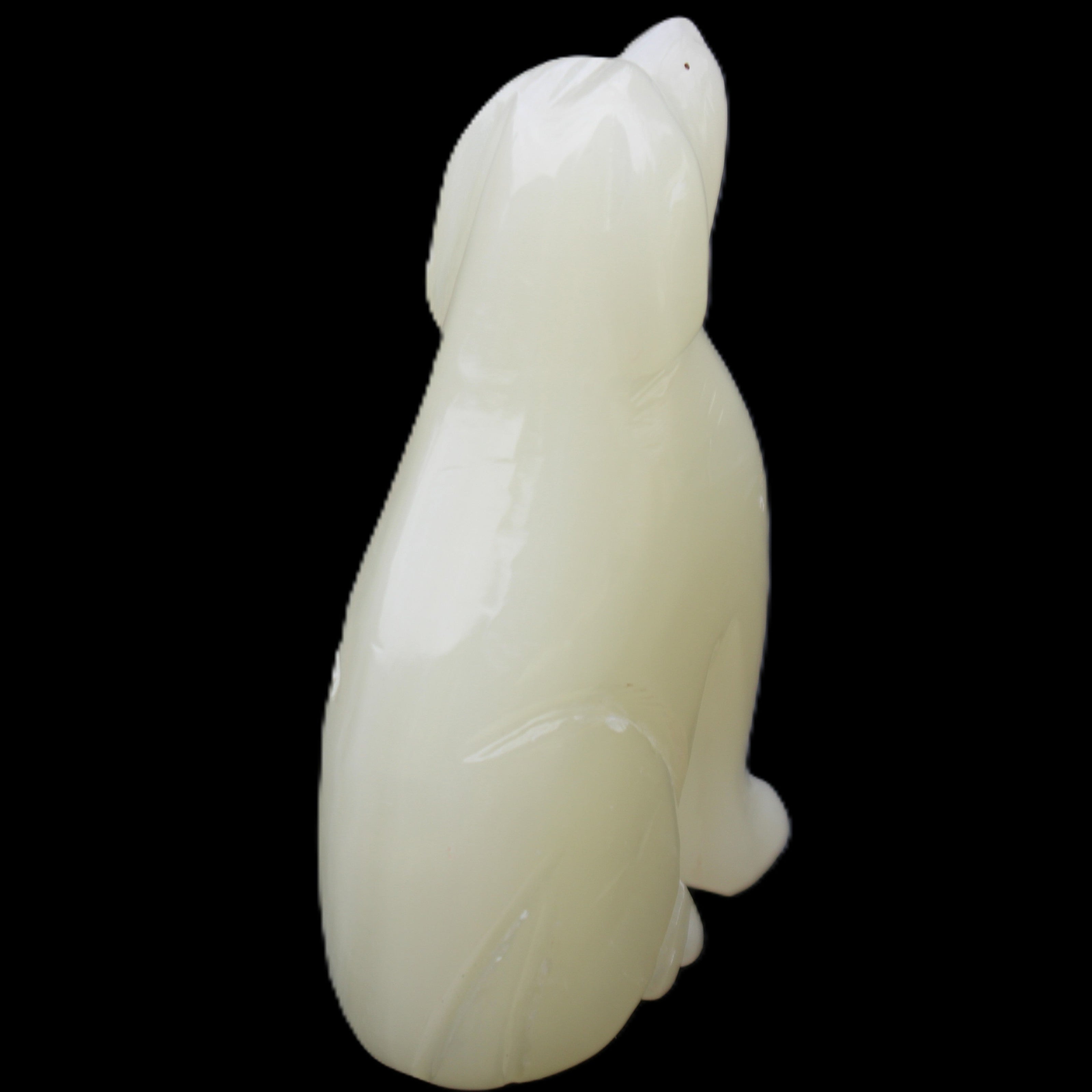 Afghan Jade hand-carved Dog 67*32*100mm 344g in sunlight - Rocks and Things Store