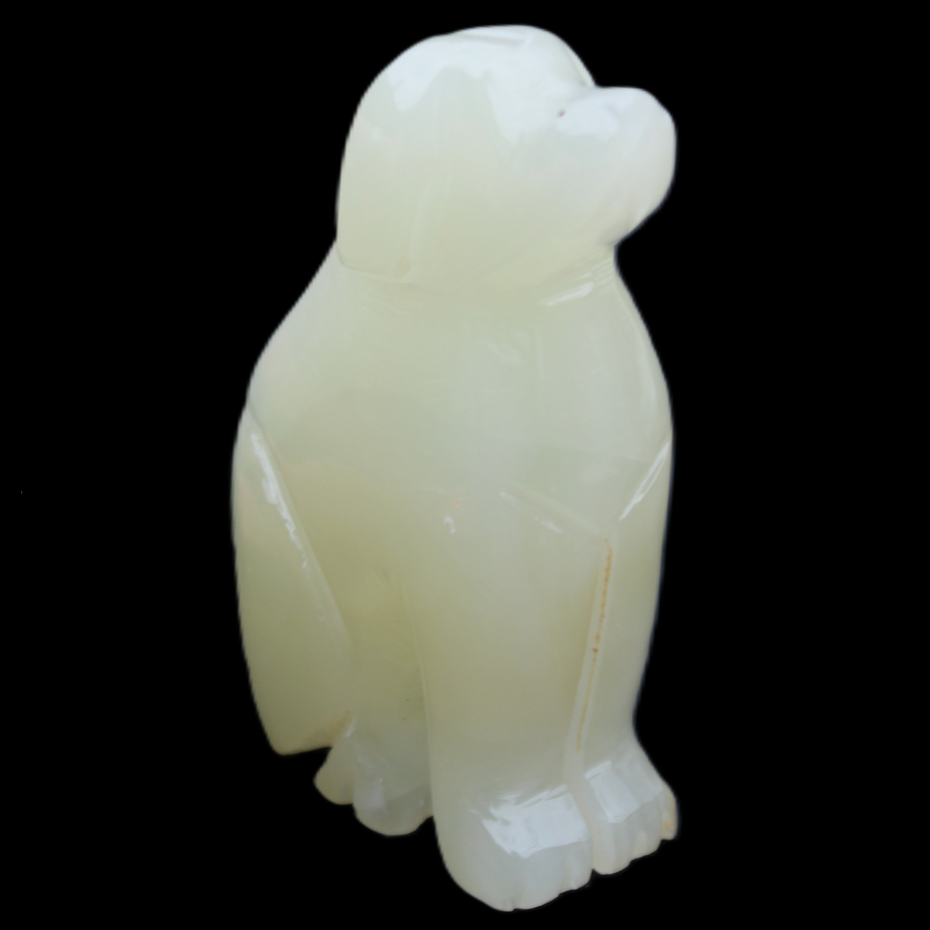 Afghan Jade hand-carved Dog 67*32*100mm 344g in sunlight - Rocks and Things Store