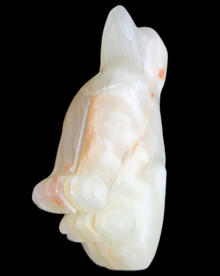 Afghan Jade hand-carved Dog 70*33*107mm 364g in sunlight - Rocks and Things Store