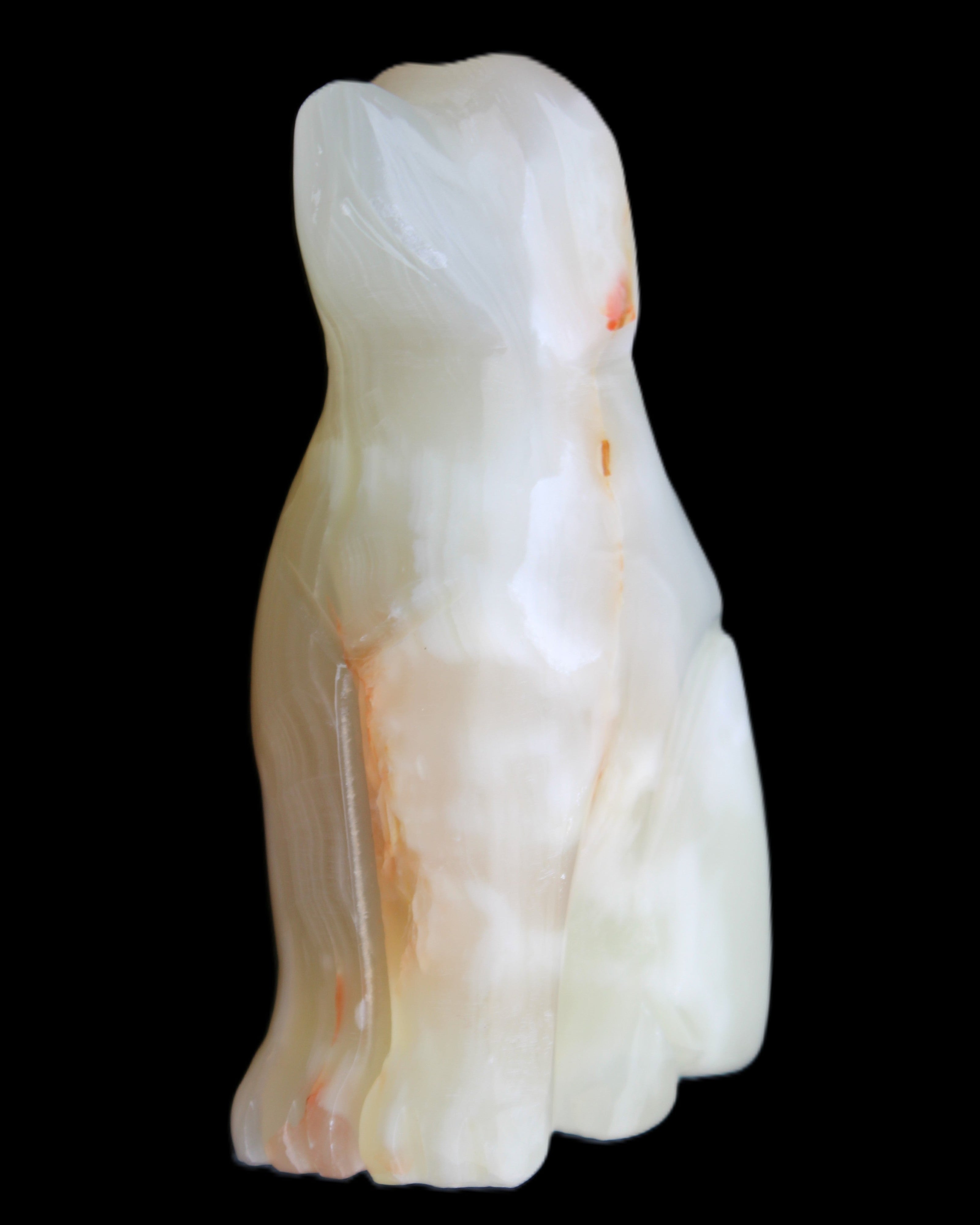 Afghan Jade hand-carved Dog 70*33*107mm 364g in sunlight - Rocks and Things Store