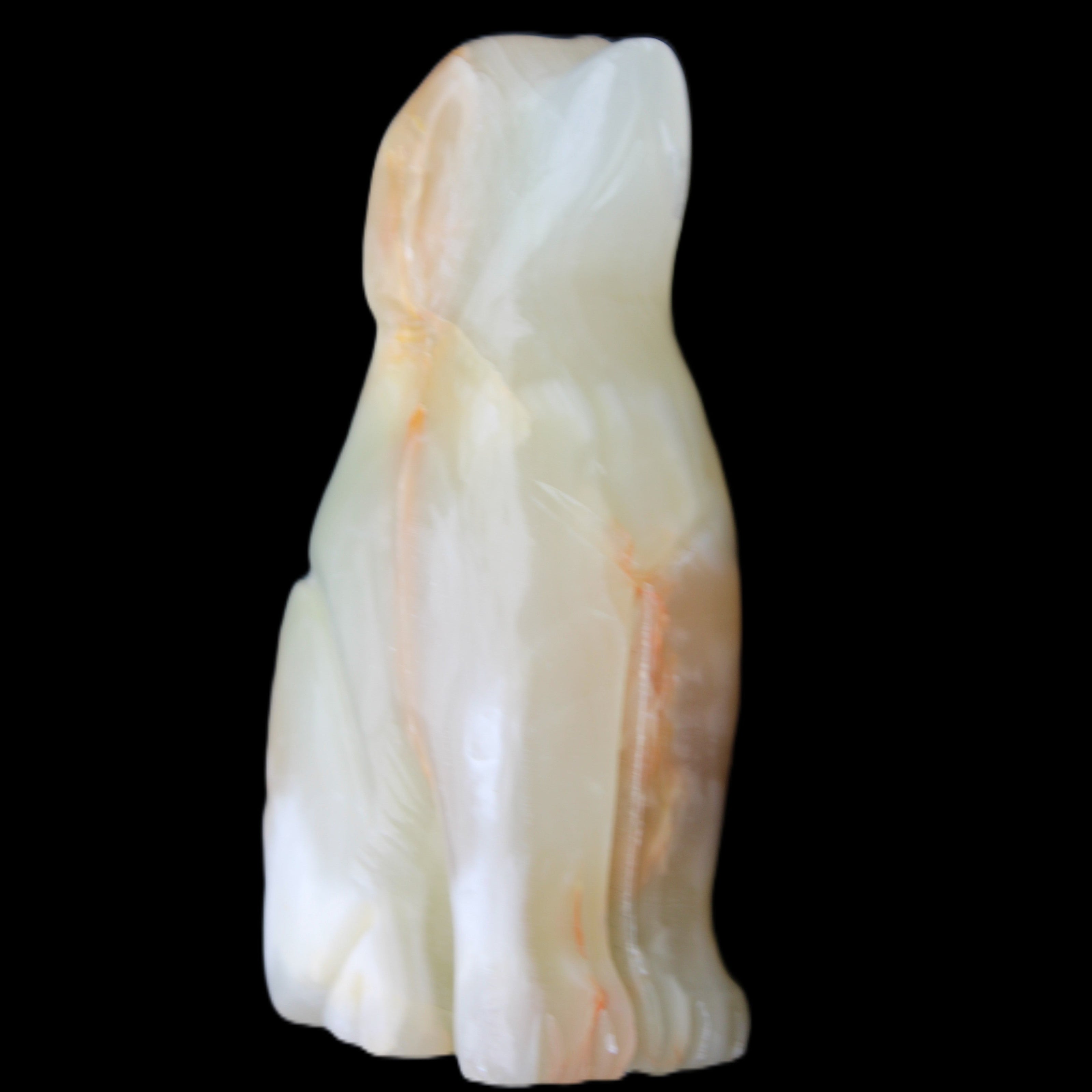 Afghan Jade hand-carved Dog 70*33*107mm 364g in sunlight - Rocks and Things Store