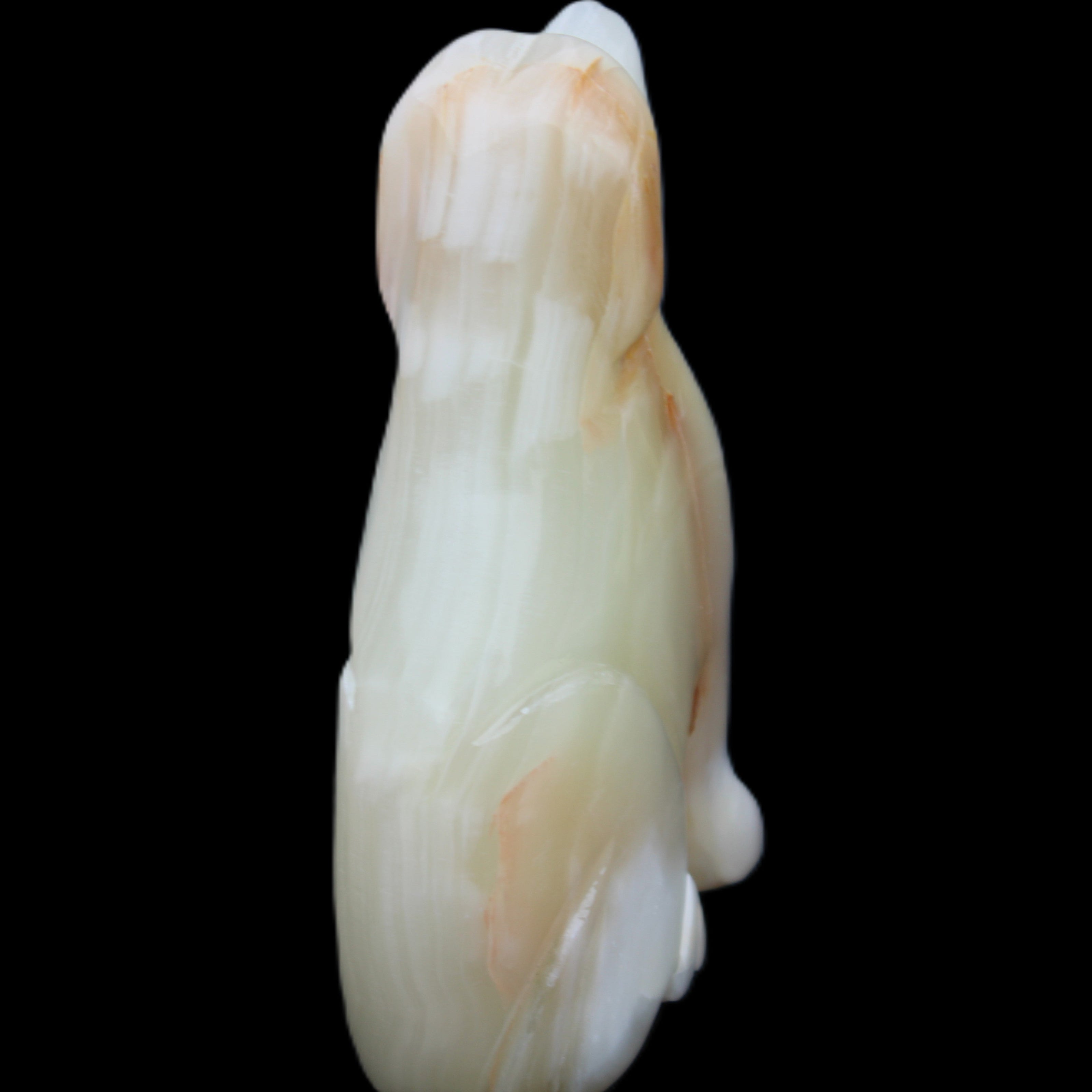 Afghan Jade hand-carved Dog 70*33*107mm 364g in sunlight - Rocks and Things Store