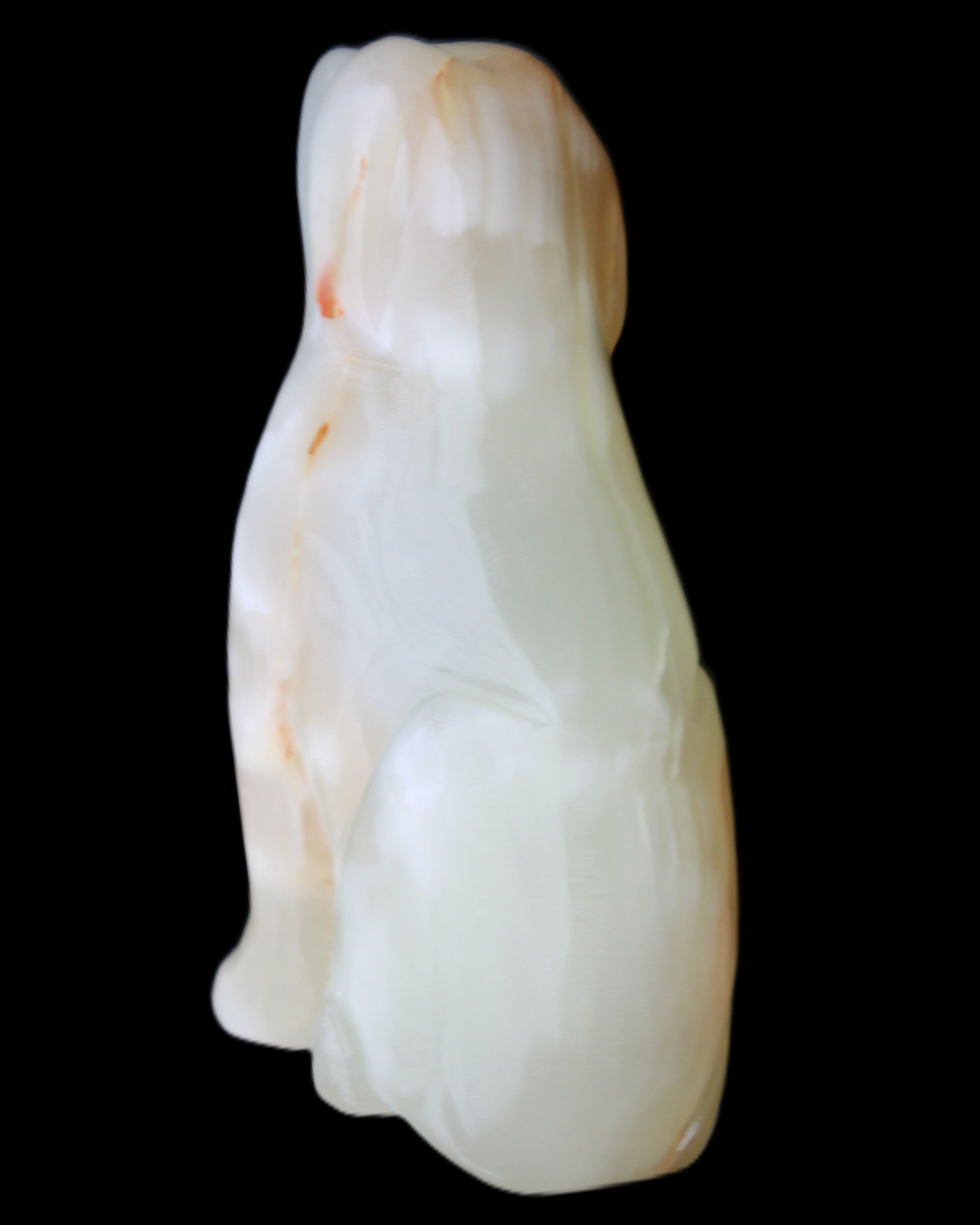 Afghan Jade hand-carved Dog 70*33*107mm 364g in sunlight - Rocks and Things Store