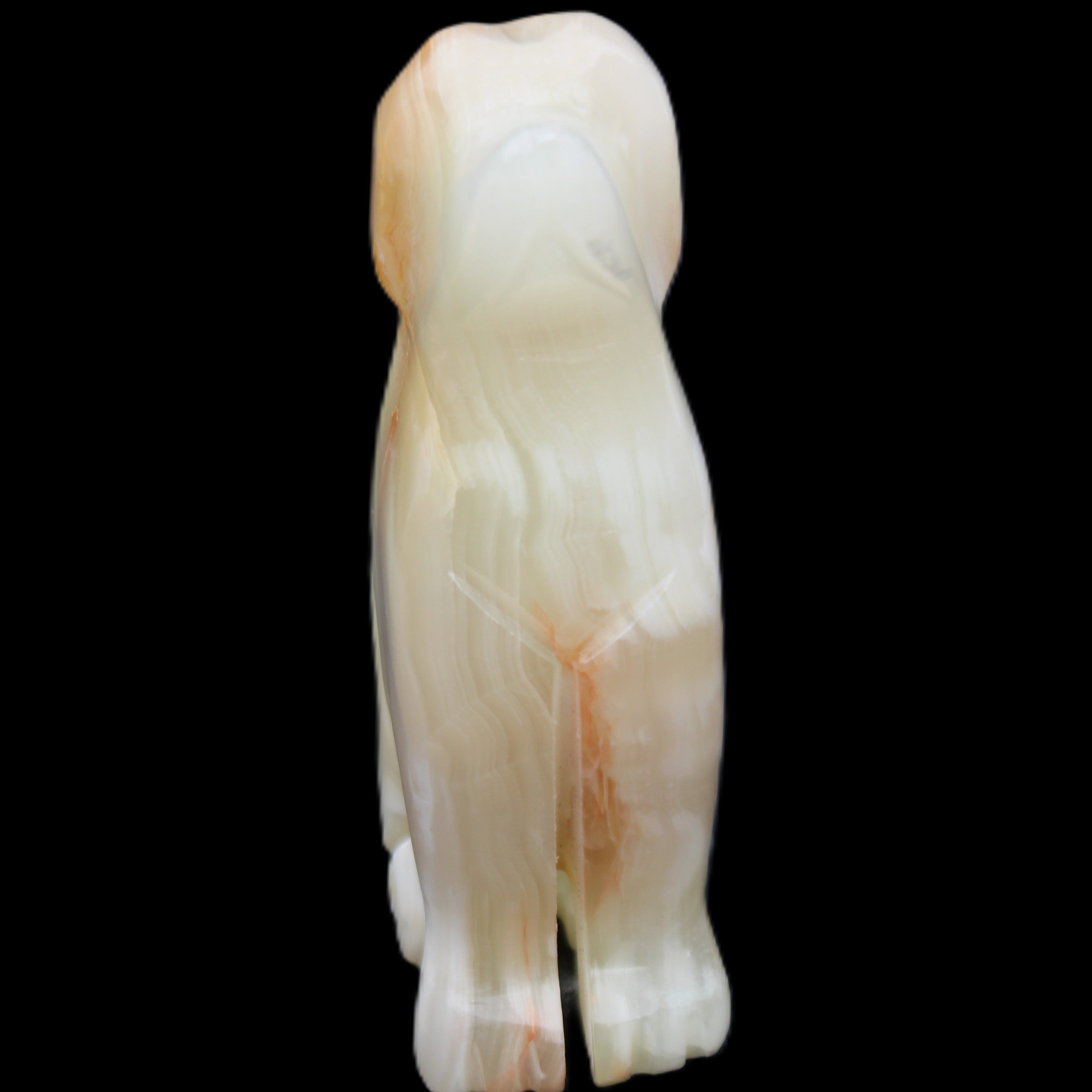 Afghan Jade hand-carved Dog 70*33*107mm 364g in sunlight - Rocks and Things Store