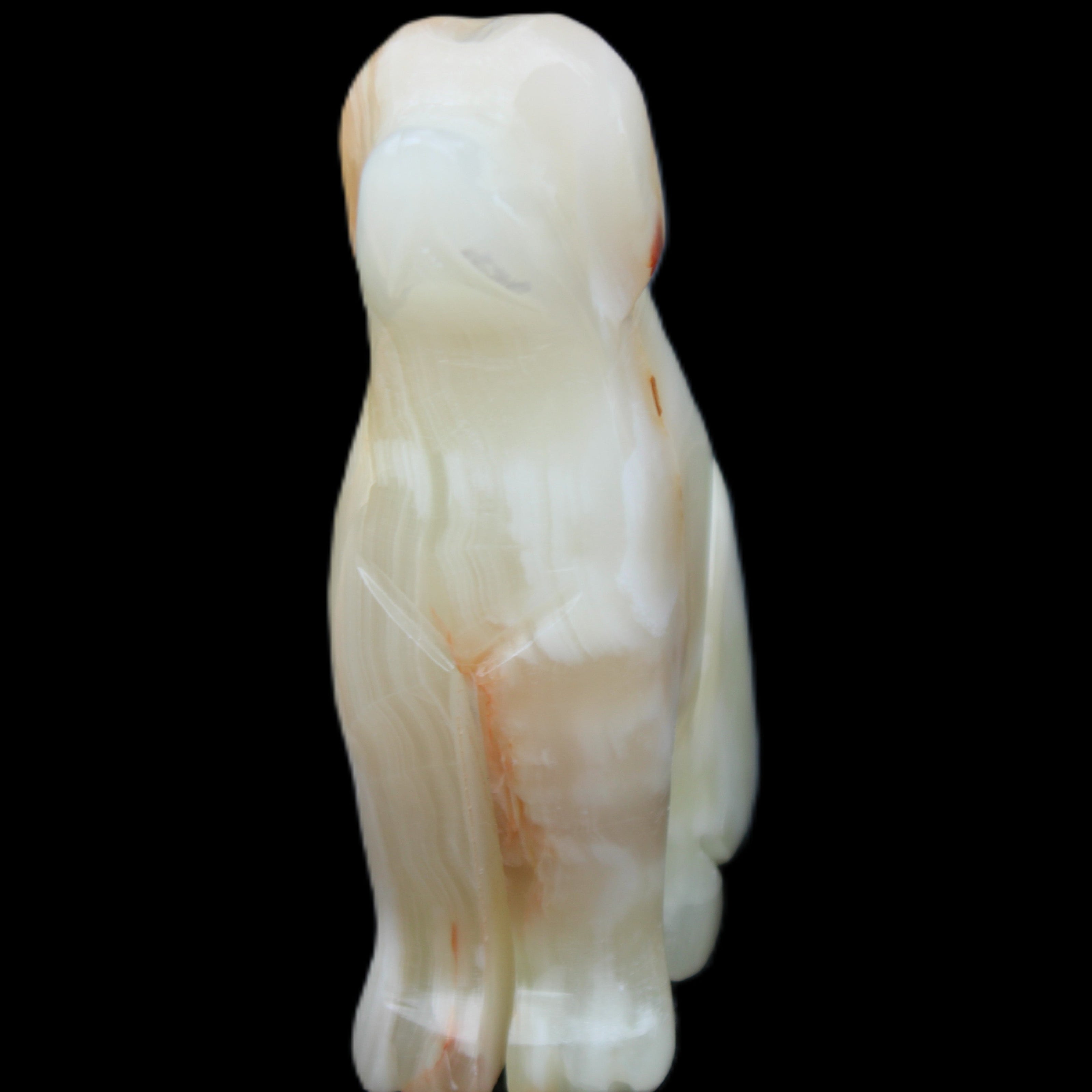 Afghan Jade hand-carved Dog 70*33*107mm 364g in sunlight - Rocks and Things Store