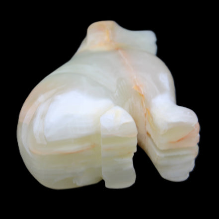 Afghan Jade hand-carved Dog 70*33*107mm 364g in sunlight - Rocks and Things Store