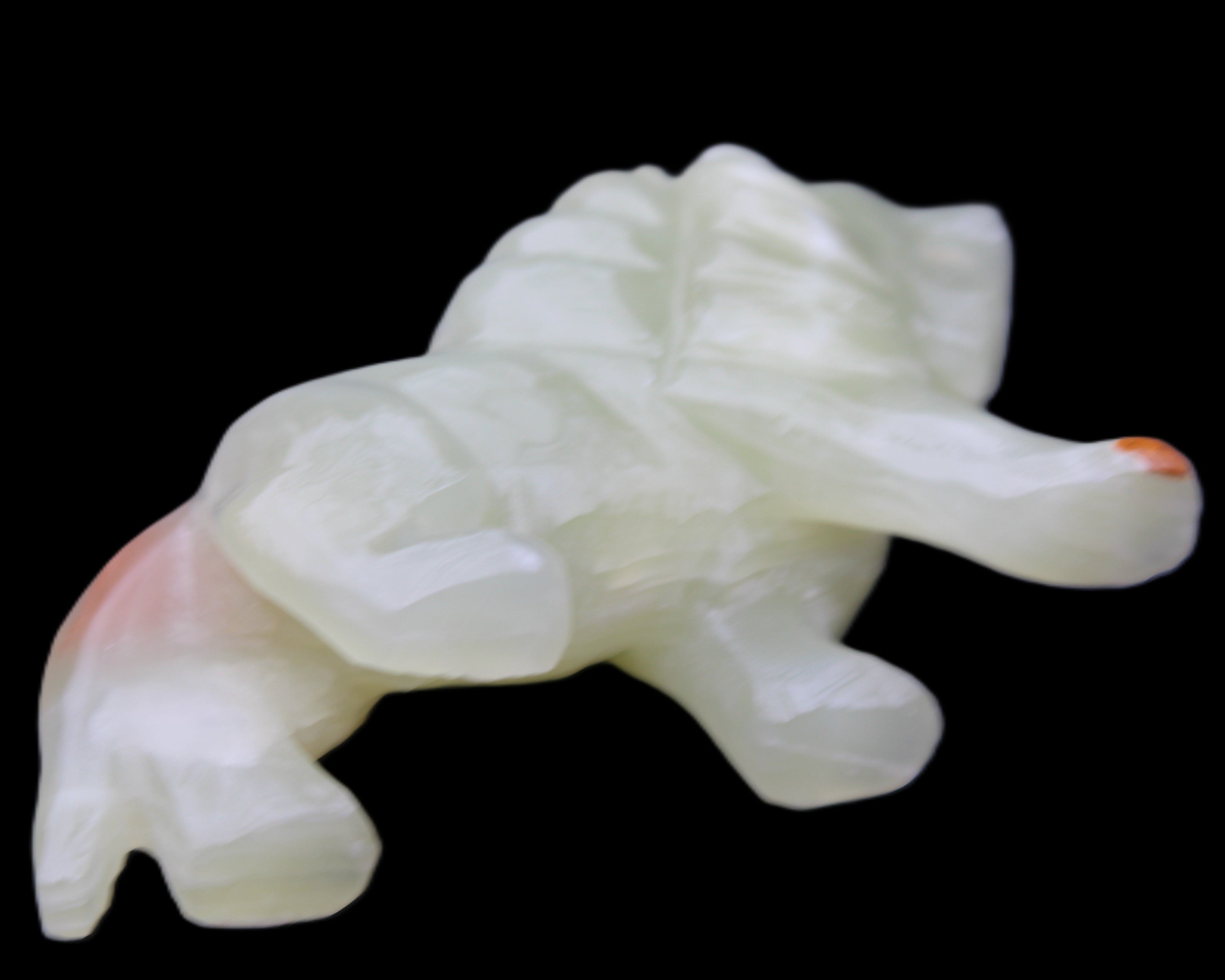 Afghan Jade hand-carved Lion 117*30*70mm 263g in sunlight - Rocks and Things Store