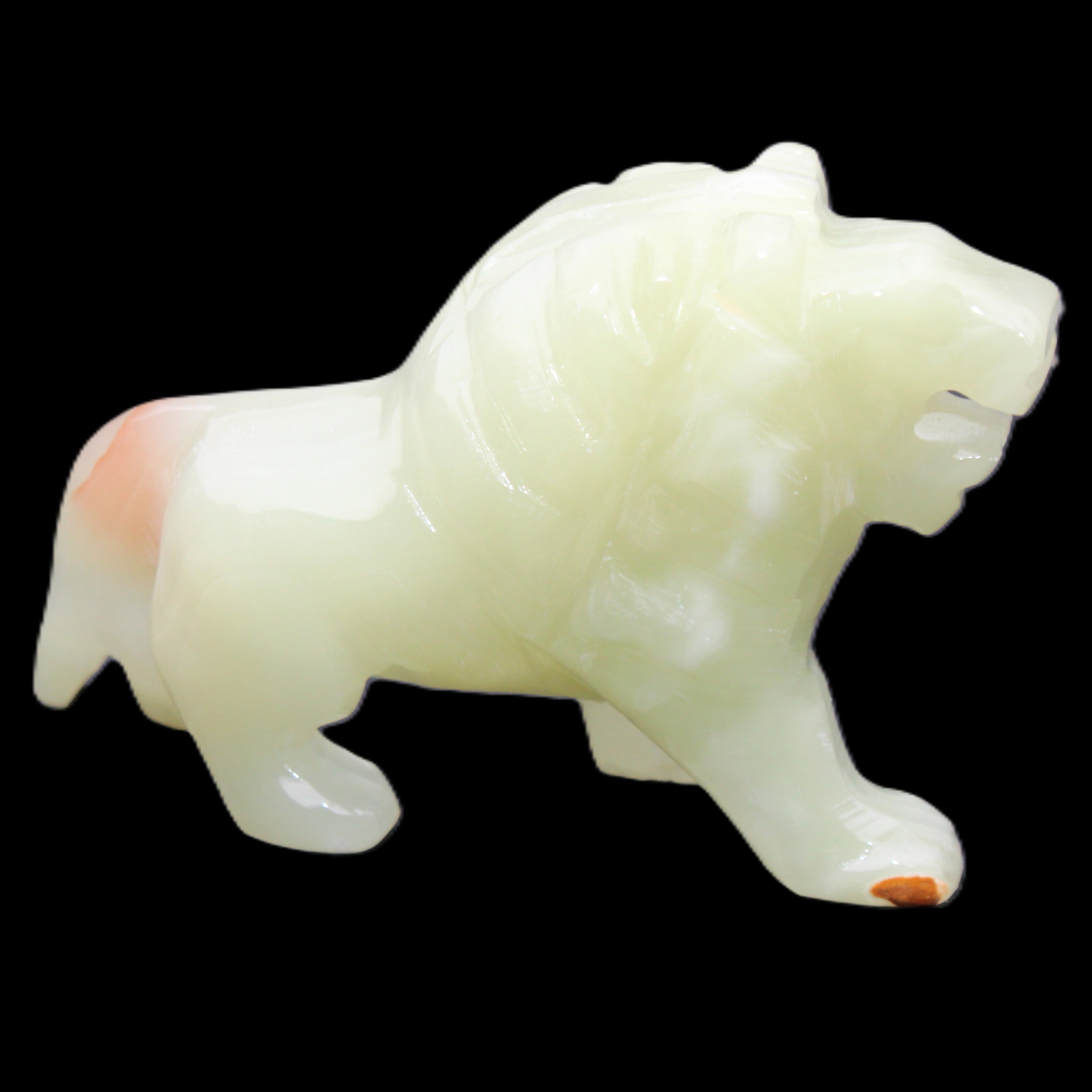 Afghan Jade hand-carved Lion 117*30*70mm 263g in sunlight - Rocks and Things Store