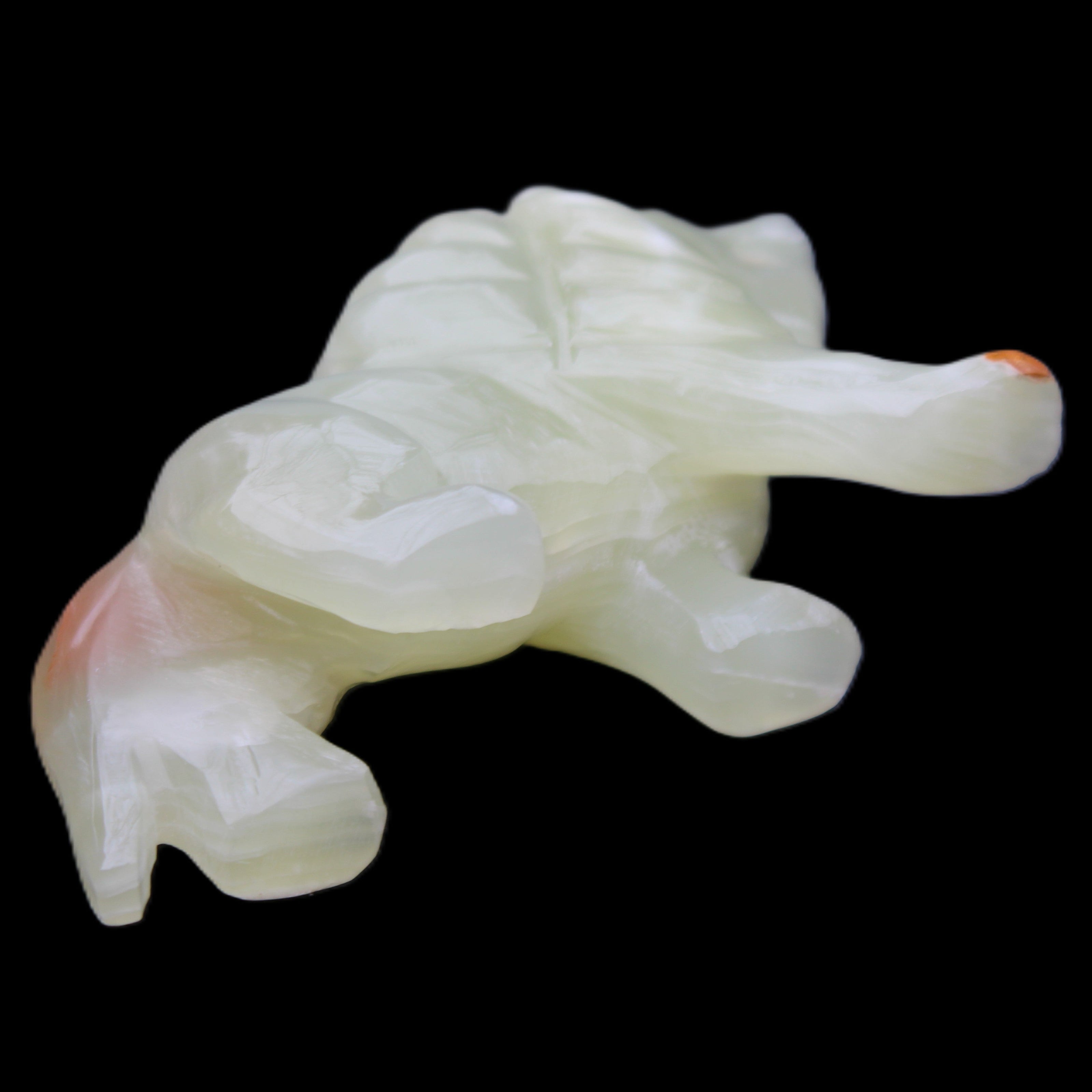 Afghan Jade hand-carved Lion 117*30*70mm 263g in sunlight - Rocks and Things Store