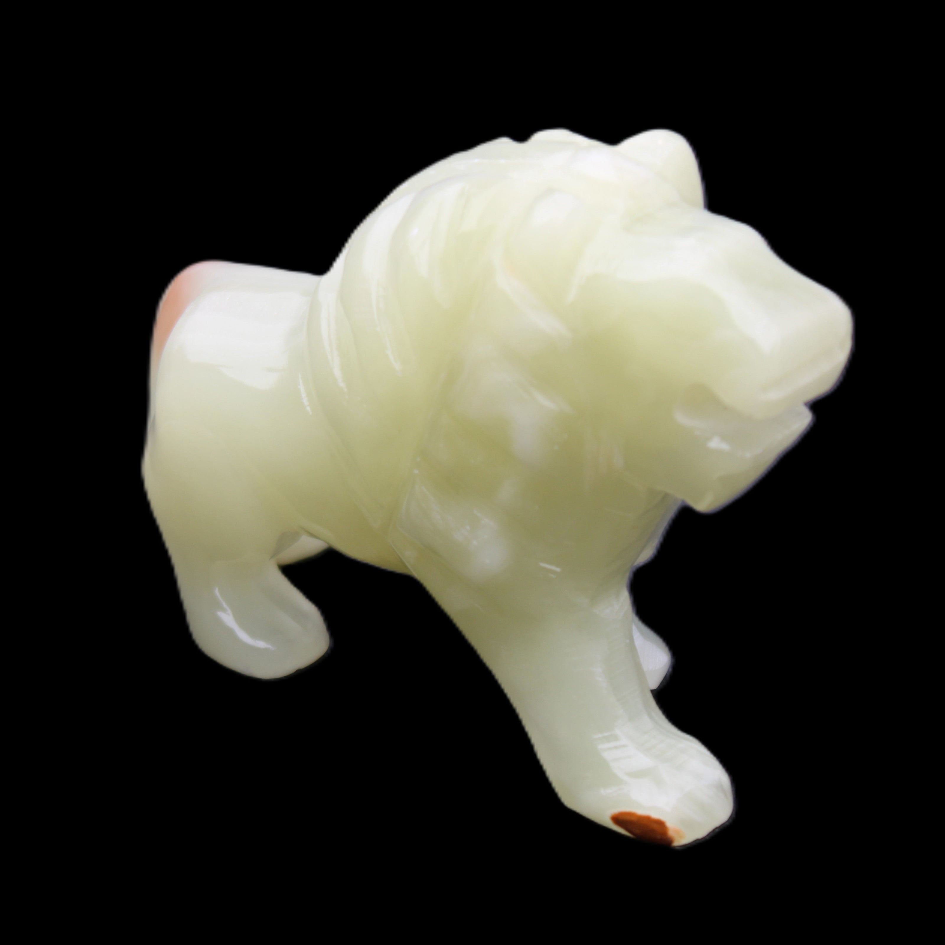 Afghan Jade hand-carved Lion 117*30*70mm 263g in sunlight - Rocks and Things Store