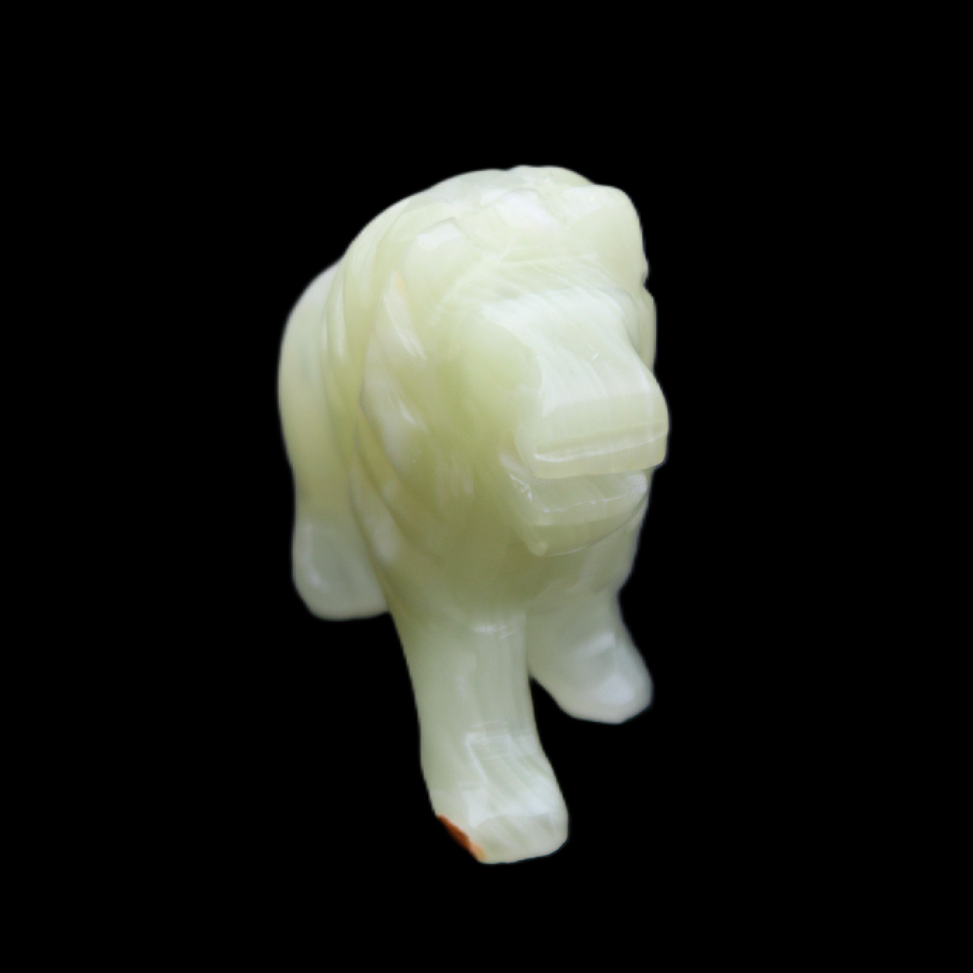 Afghan Jade hand-carved Lion 117*30*70mm 263g in sunlight - Rocks and Things Store