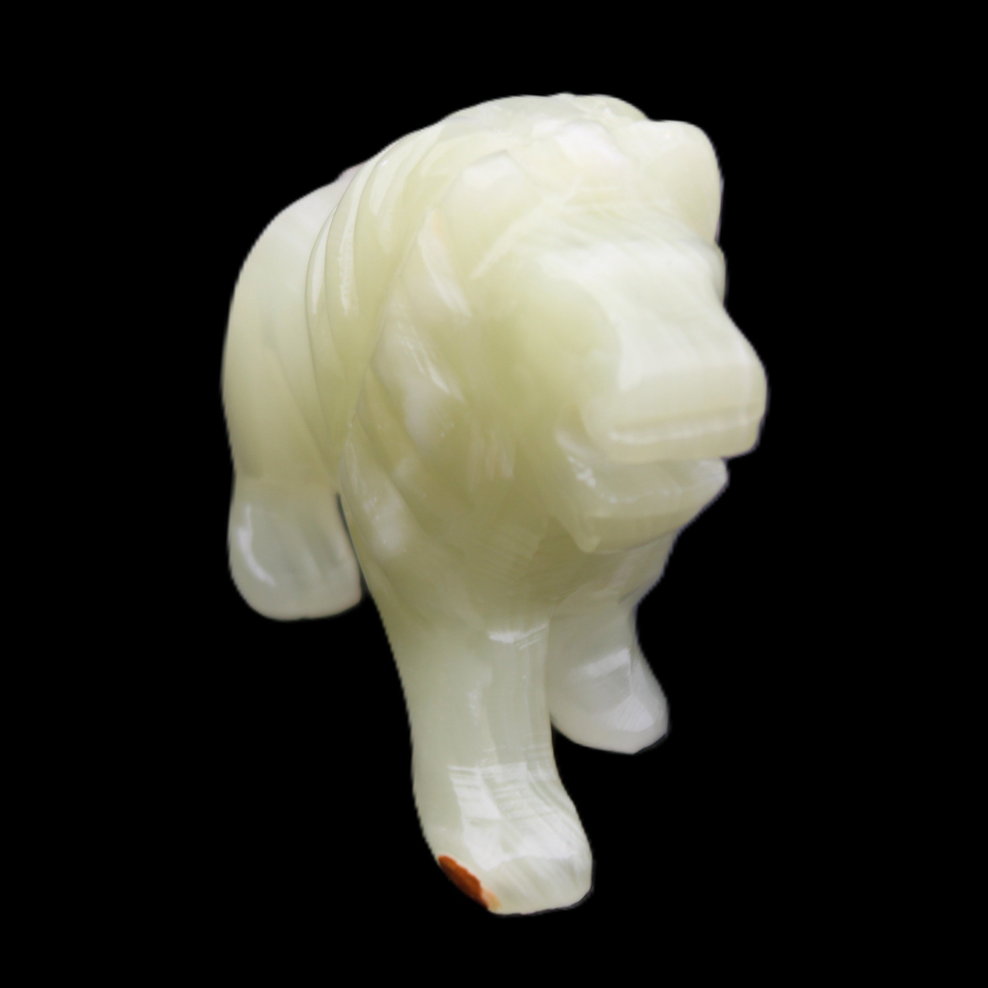 Afghan Jade hand-carved Lion 117*30*70mm 263g in sunlight - Rocks and Things Store