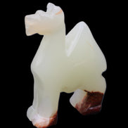 Afghan Jade hand-carved Camel 70*30*100mm 273g in sunlight - Rocks and Things Store