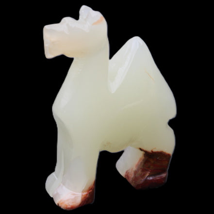 Afghan Jade hand-carved Camel 70*30*100mm 273g in sunlight - Rocks and Things Store