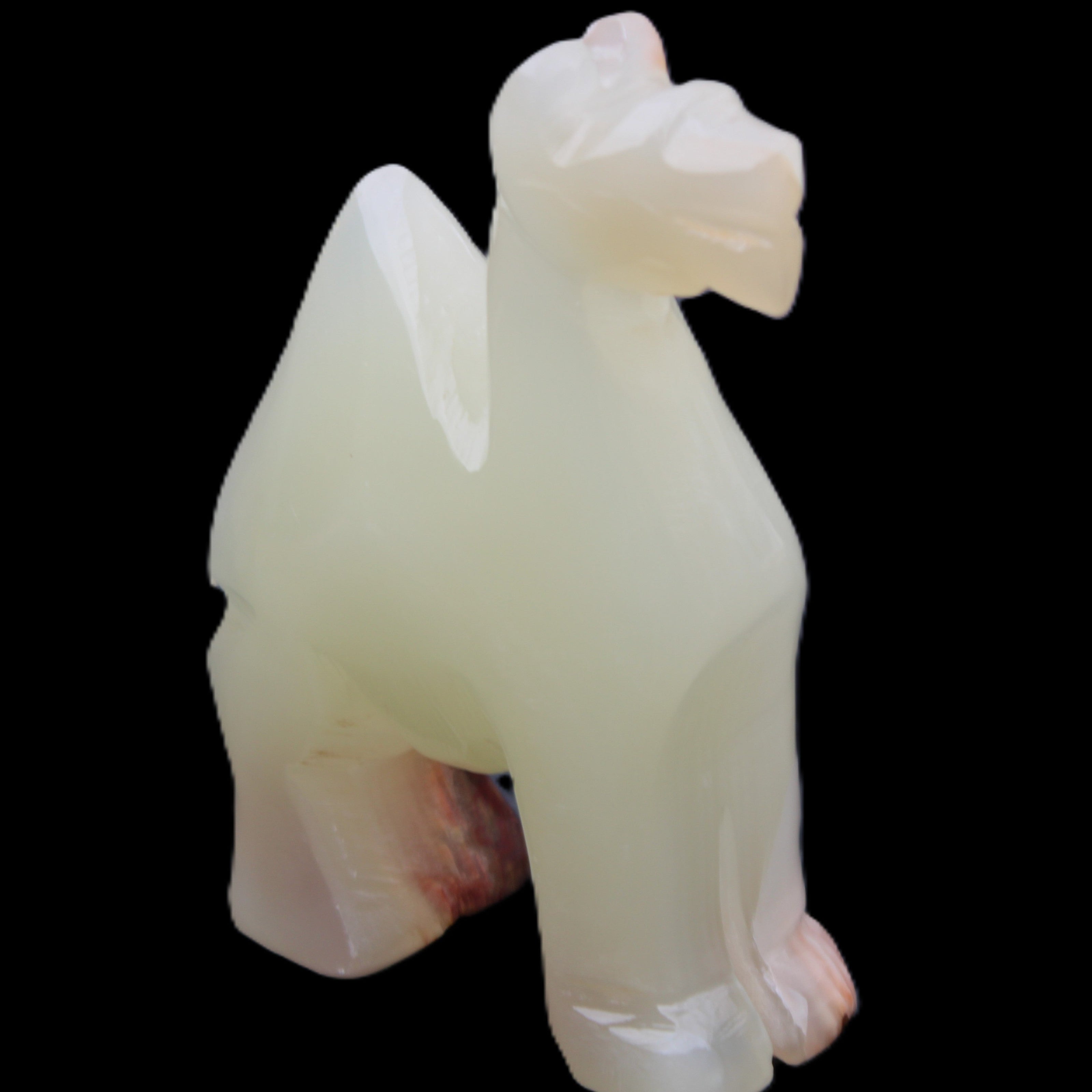 Afghan Jade hand-carved Camel 70*30*100mm 273g in sunlight - Rocks and Things Store