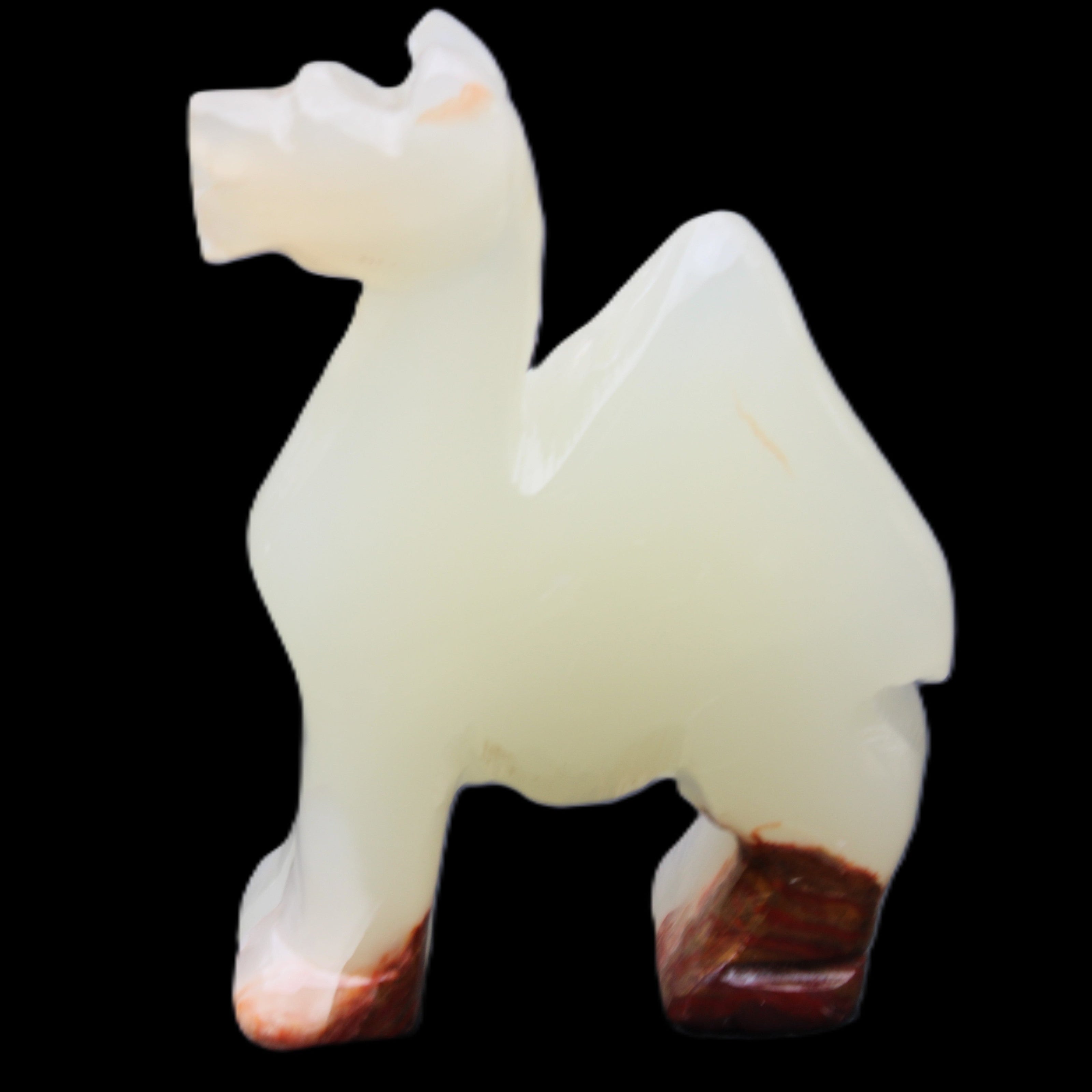 Afghan Jade hand-carved Camel 70*30*100mm 273g in sunlight - Rocks and Things Store