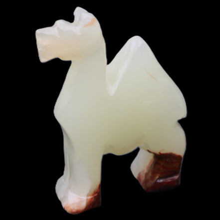 Afghan Jade hand-carved Camel 70*30*100mm 273g in sunlight - Rocks and Things Store