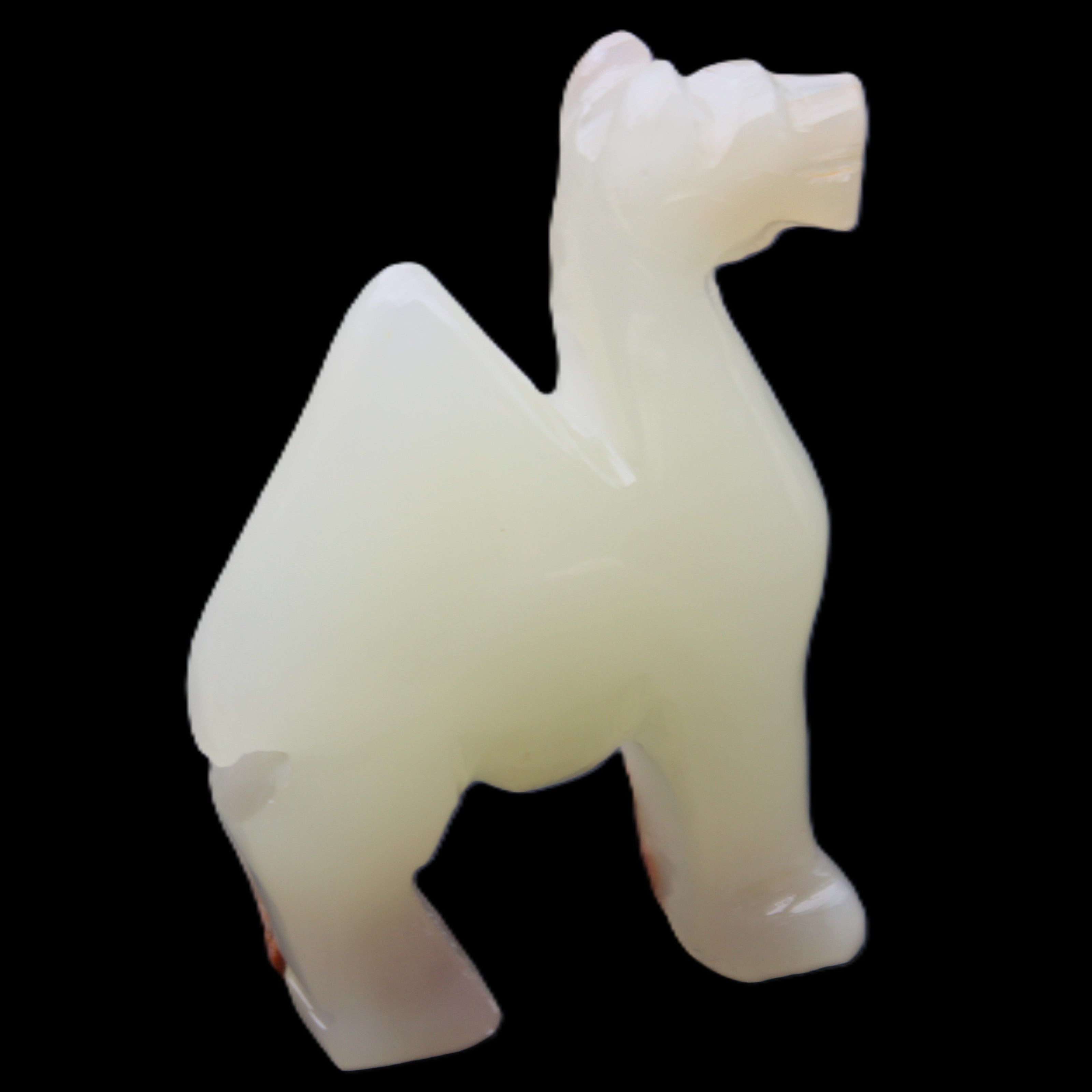 Afghan Jade hand-carved Camel 70*30*100mm 273g in sunlight - Rocks and Things Store