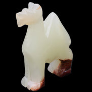 Afghan Jade hand-carved Camel 70*30*100mm 273g in sunlight - Rocks and Things Store