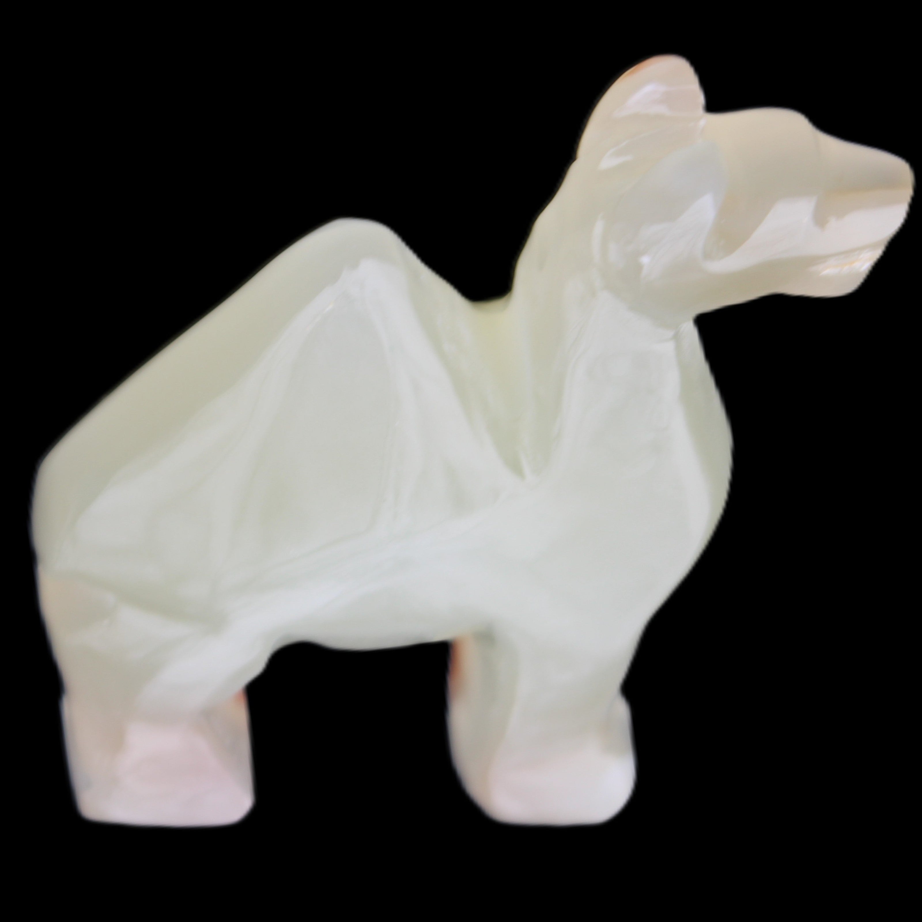Afghan Jade hand-carved Camel 70*30*100mm 273g in sunlight - Rocks and Things Store