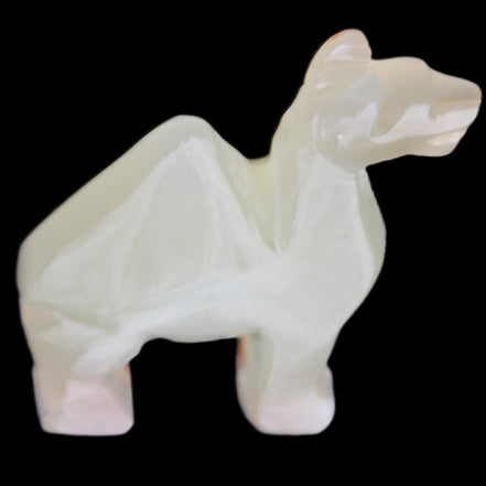 Afghan Jade hand-carved Camel 70*30*100mm 273g in sunlight - Rocks and Things Store