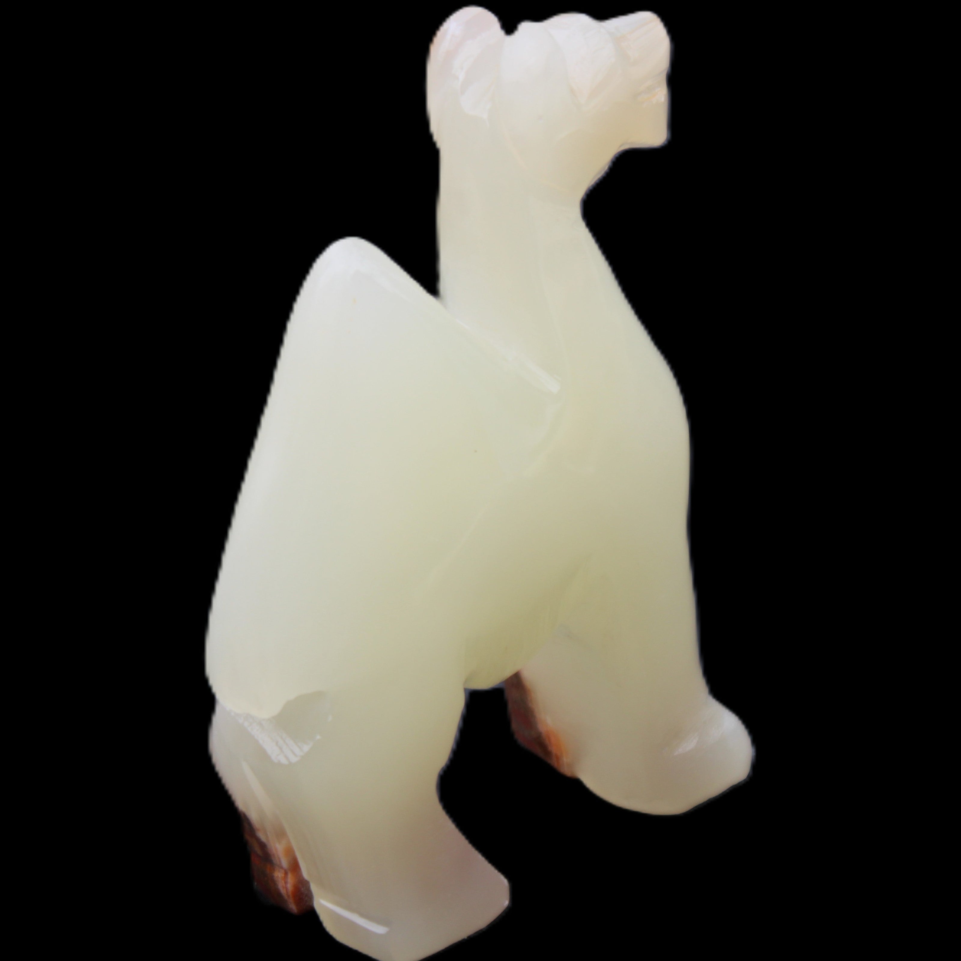 Afghan Jade hand-carved Camel 70*30*100mm 273g in sunlight - Rocks and Things Store