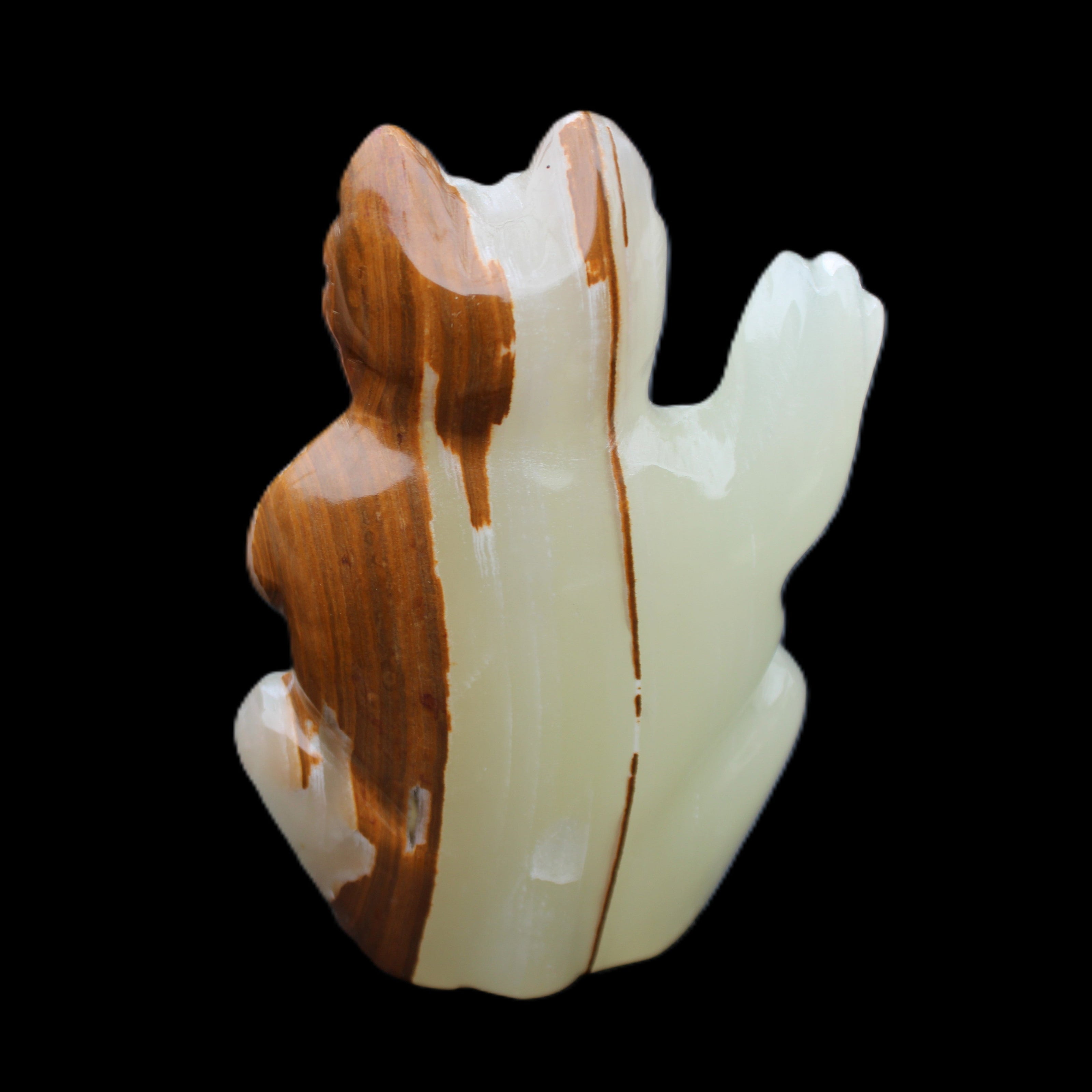 Afghan Jade hand-carved Cat 90*48*130mm 728g in sunlight - Rocks and Things Store