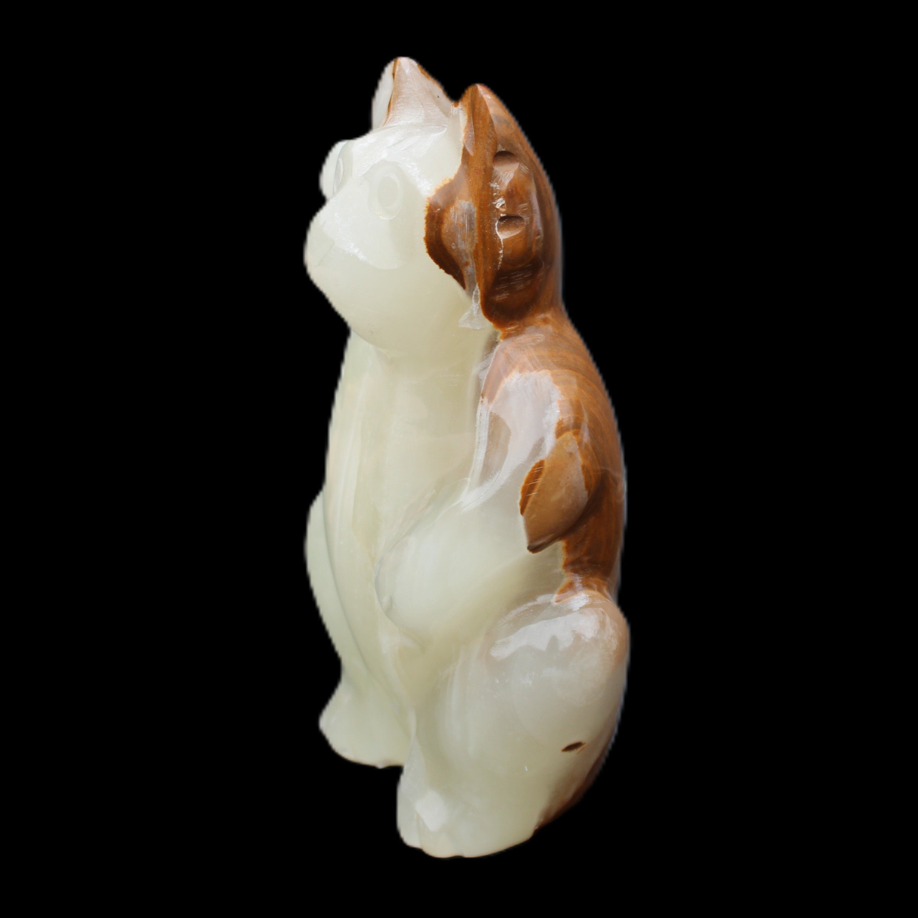 Afghan Jade hand-carved Cat 90*48*130mm 728g in sunlight - Rocks and Things Store