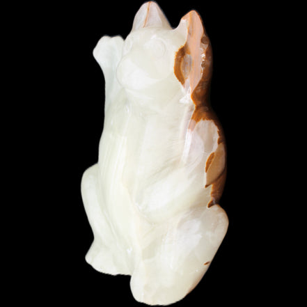Afghan Jade hand-carved Cat 90*48*130mm 728g in sunlight - Rocks and Things Store