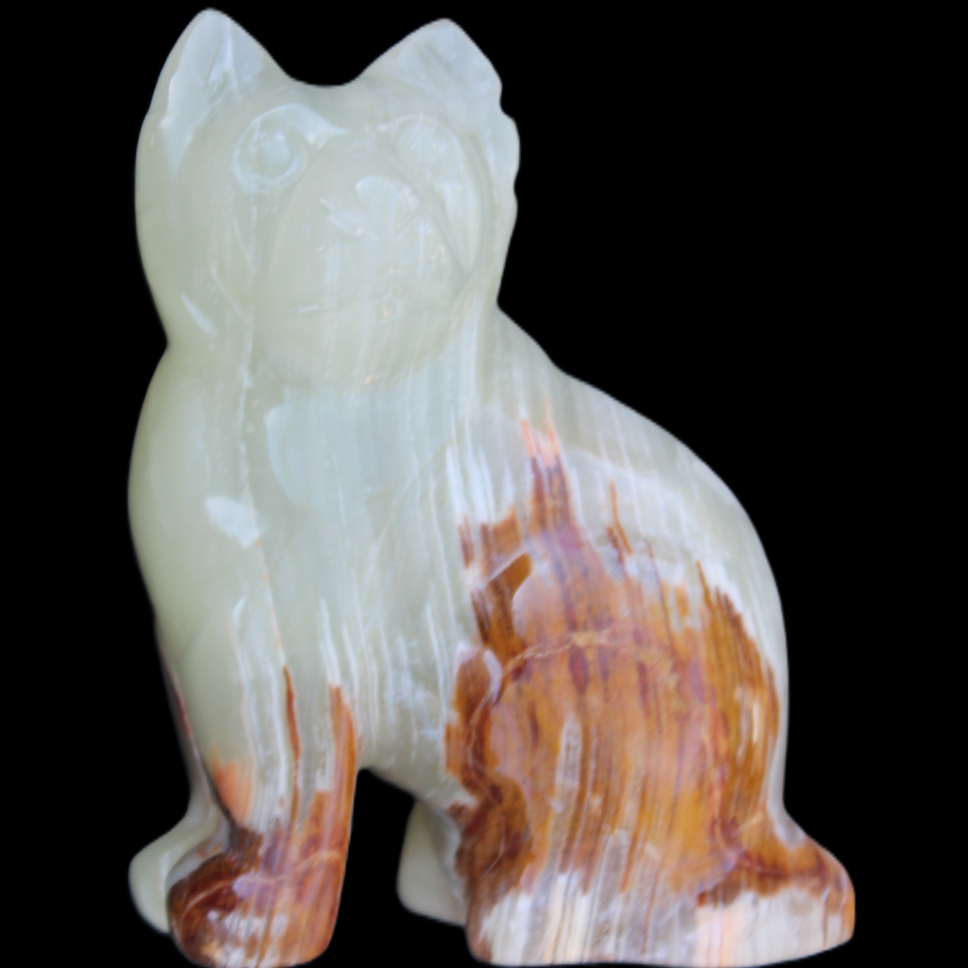 Afghan Jade hand-carved Cat 100*50*130mm 845g in sunlight - Rocks and Things Store