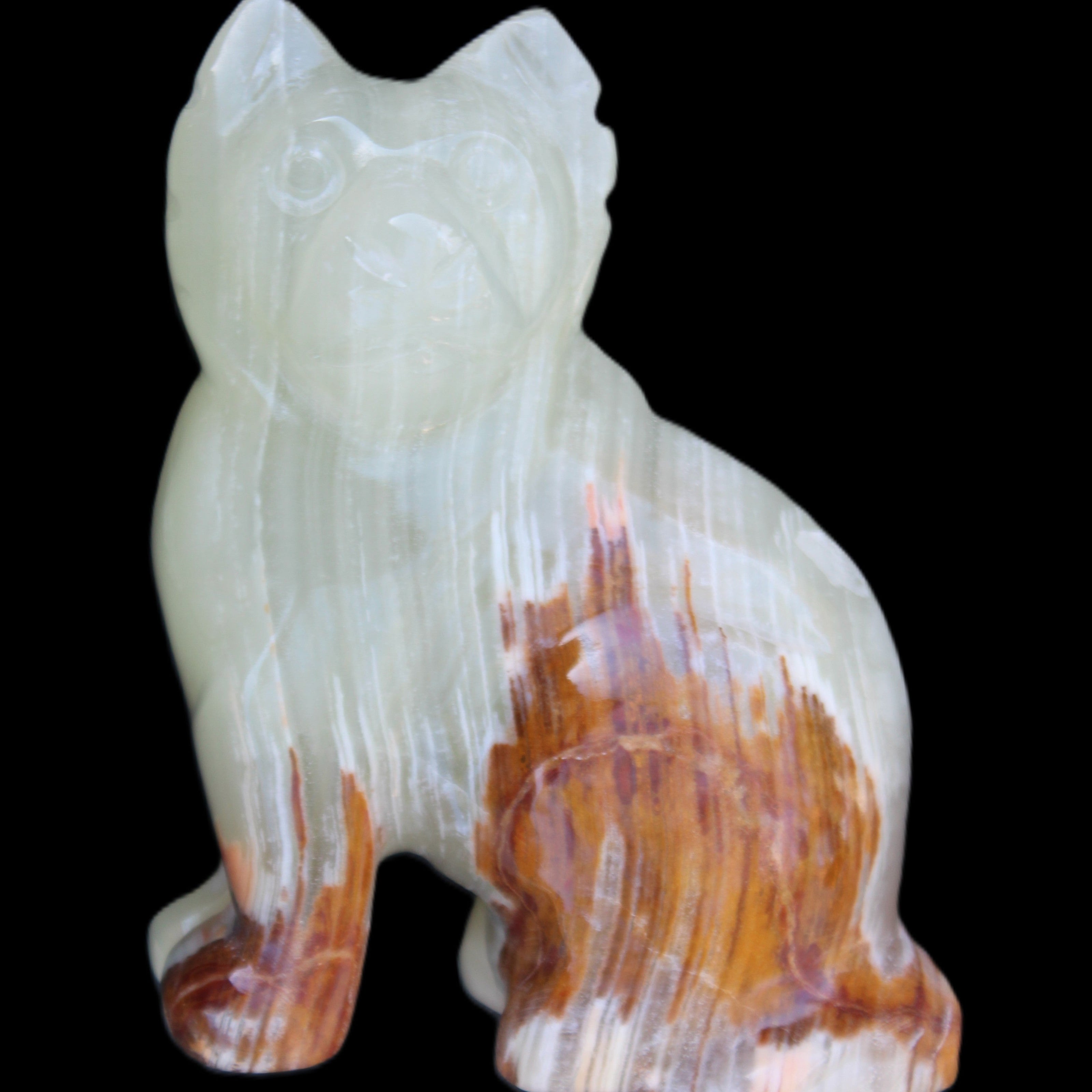 Afghan Jade hand-carved Cat 100*50*130mm 845g in sunlight - Rocks and Things Store