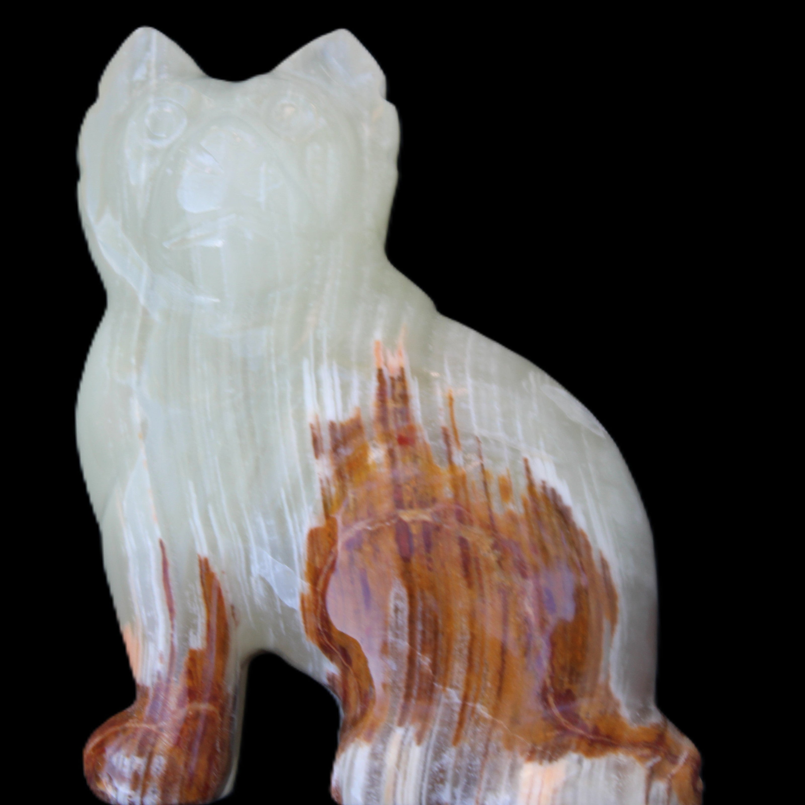 Afghan Jade hand-carved Cat 100*50*130mm 845g in sunlight - Rocks and Things Store