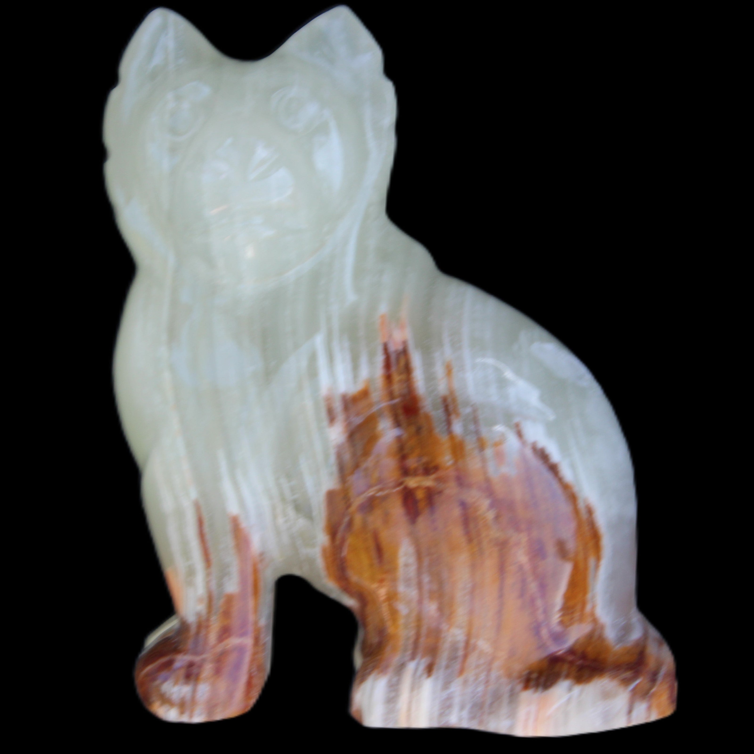 Afghan Jade hand-carved Cat 100*50*130mm 845g in sunlight - Rocks and Things Store