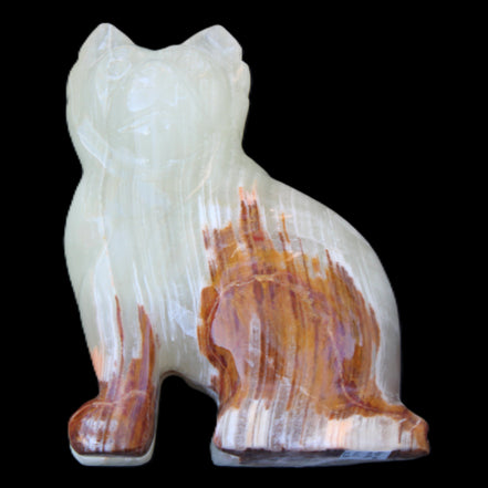 Afghan Jade hand-carved Cat 100*50*130mm 845g in sunlight - Rocks and Things Store