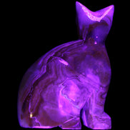 Afghan Jade hand-carved Cat 77*31*105mm 404g in UV light - Rocks and Things Store