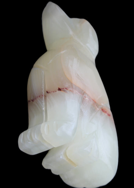 Afghan Jade hand-carved Dog 66*33*105mm 404g in sunlight - Rocks and Things Store