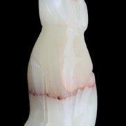 Afghan Jade hand-carved Dog 66*33*105mm 404g in sunlight - Rocks and Things Store