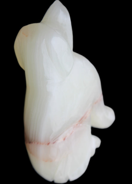 Afghan Jade hand-carved Dog 66*33*105mm 404g in sunlight - Rocks and Things Store