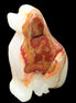 Afghan Jade hand-carved Dog 69*33*105mm 395g in sunlight - Rocks and Things Store