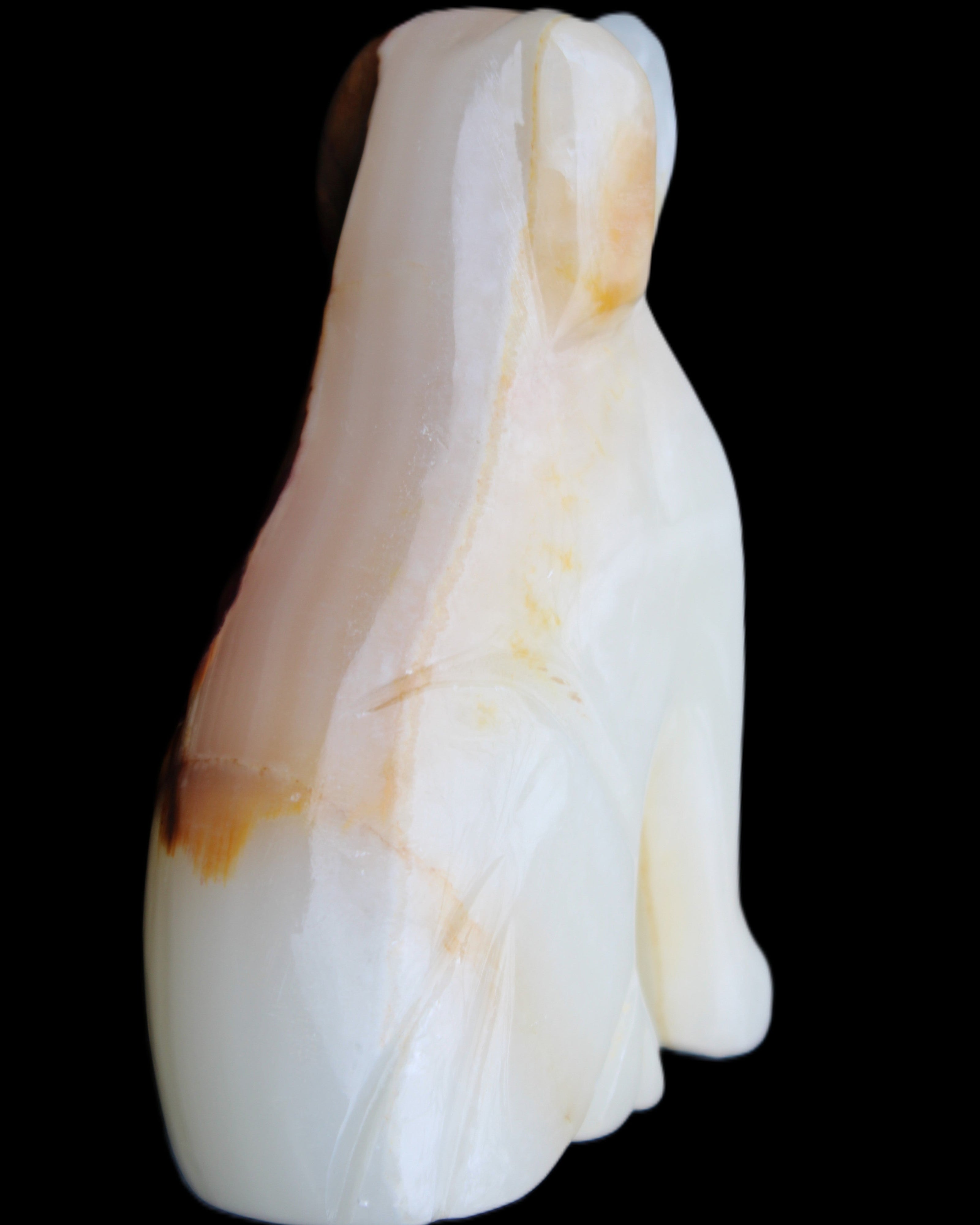 Afghan Jade hand-carved Dog 69*33*105mm 395g in sunlight - Rocks and Things Store